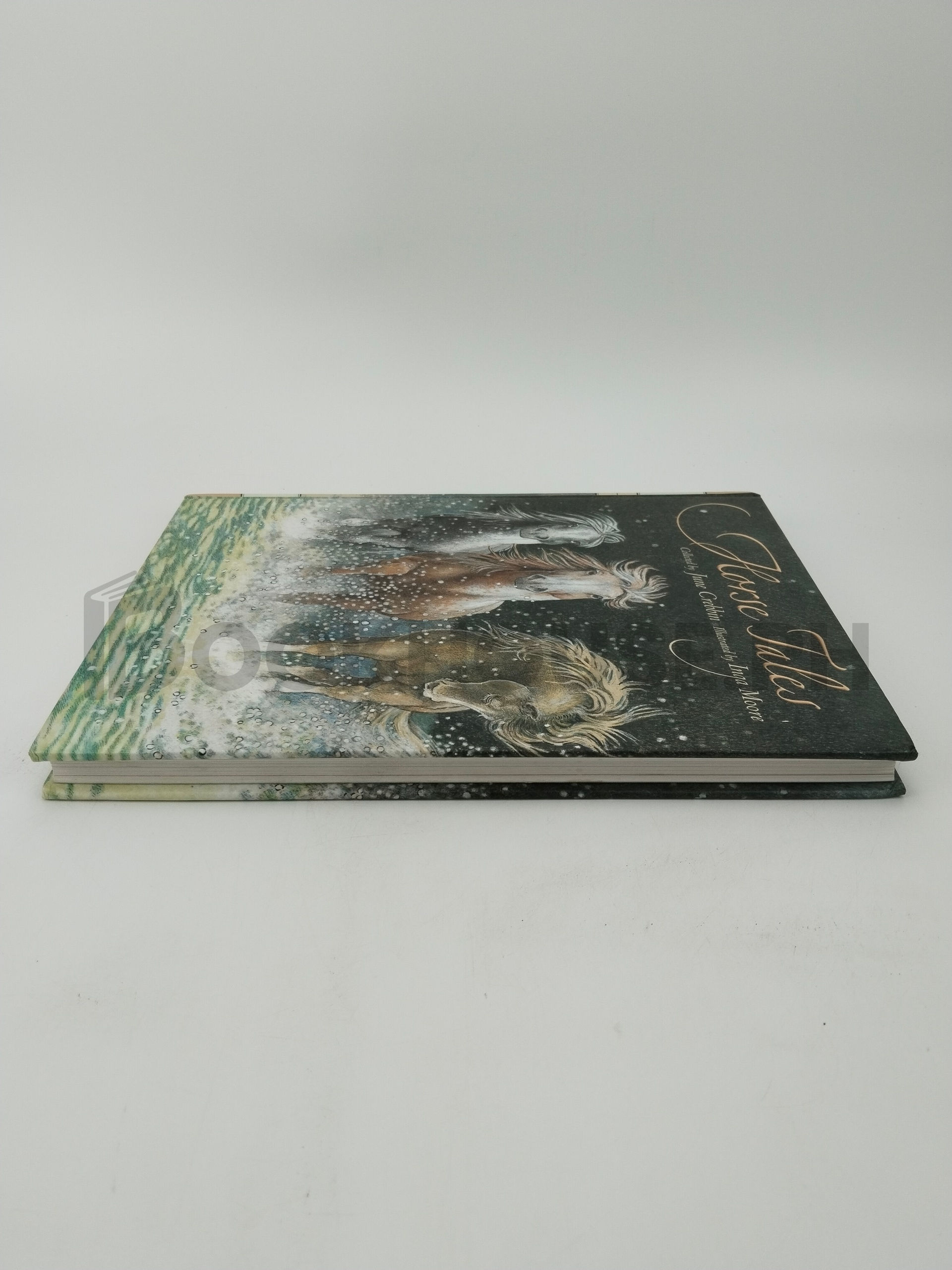 Horse Tales by June Crebbin - Image 4