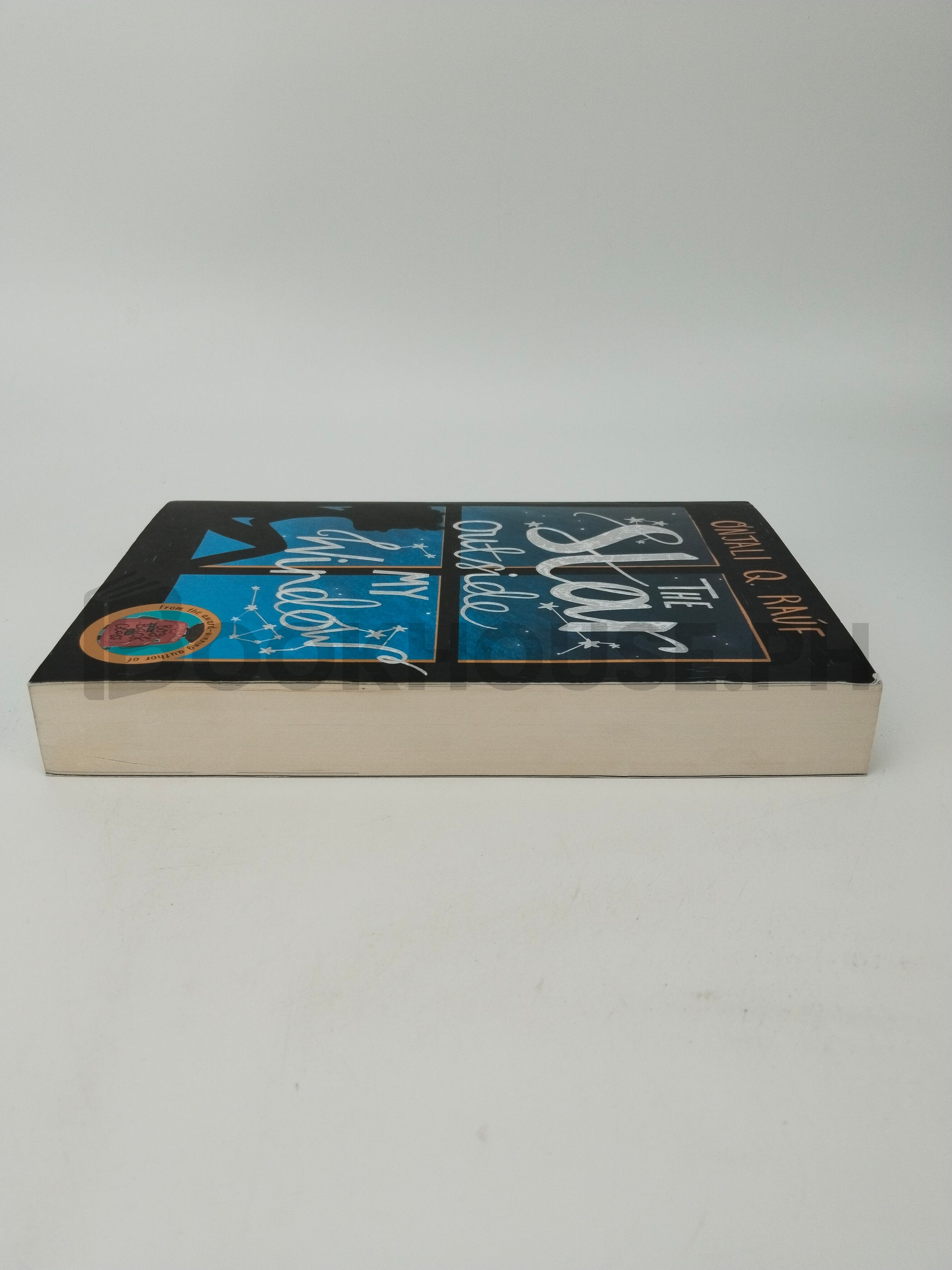 The Star Outside My Window by Onjali Q. Rauf - Image 4