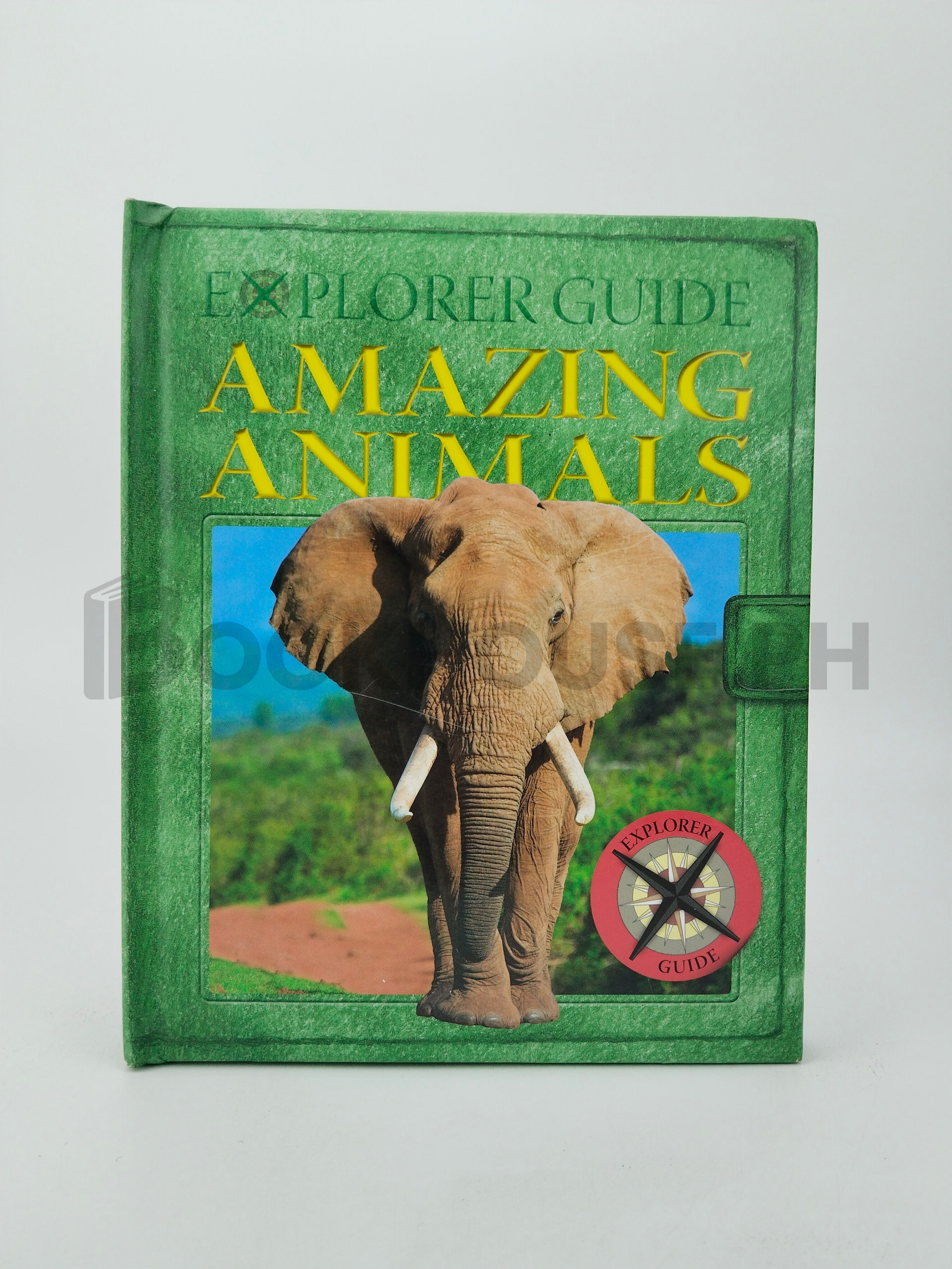 Explorer Guide Amazing Animals by Yoyo Books