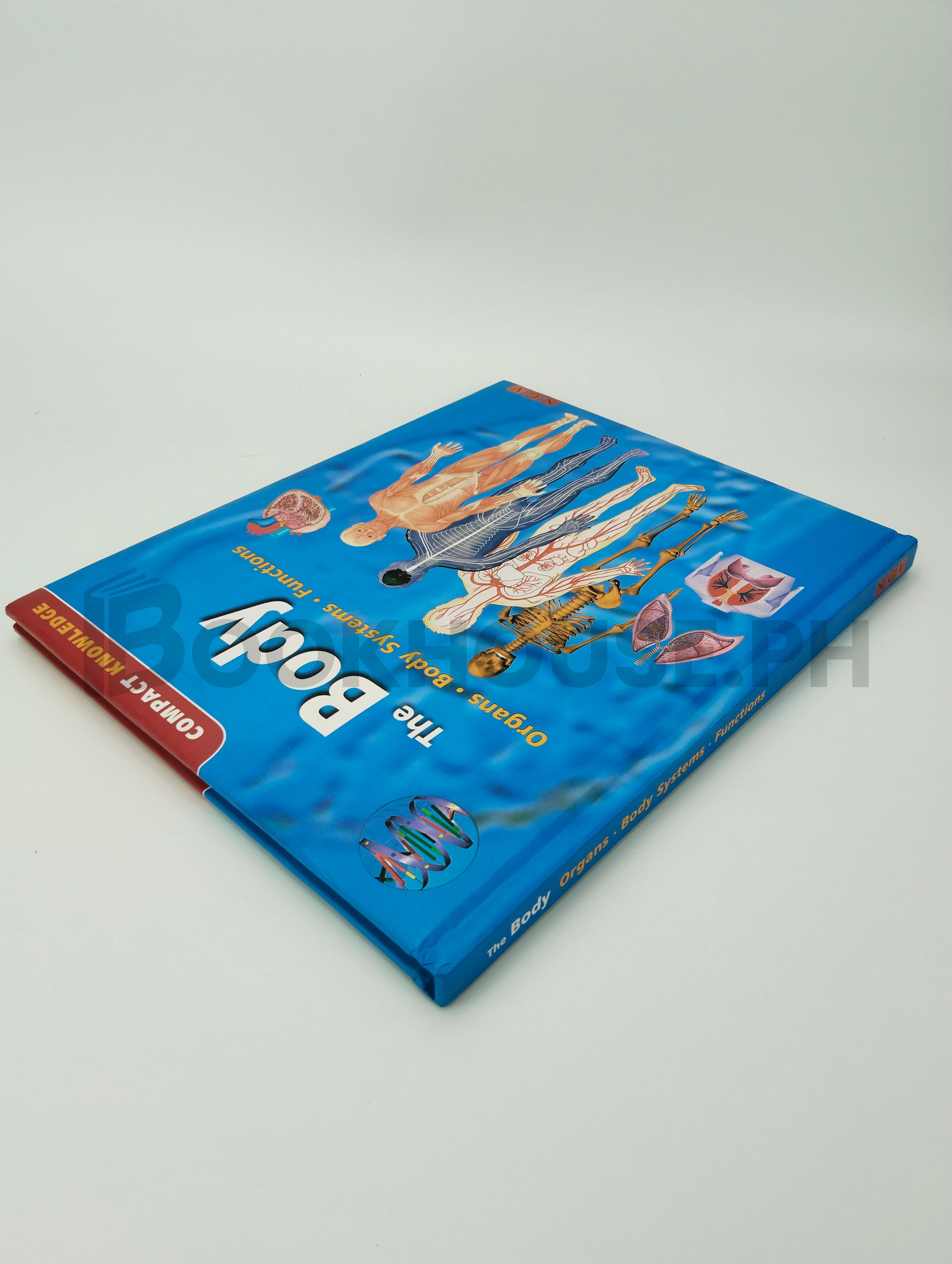 The Body Organs, Body Systems, Functions by Ngv - Image 2