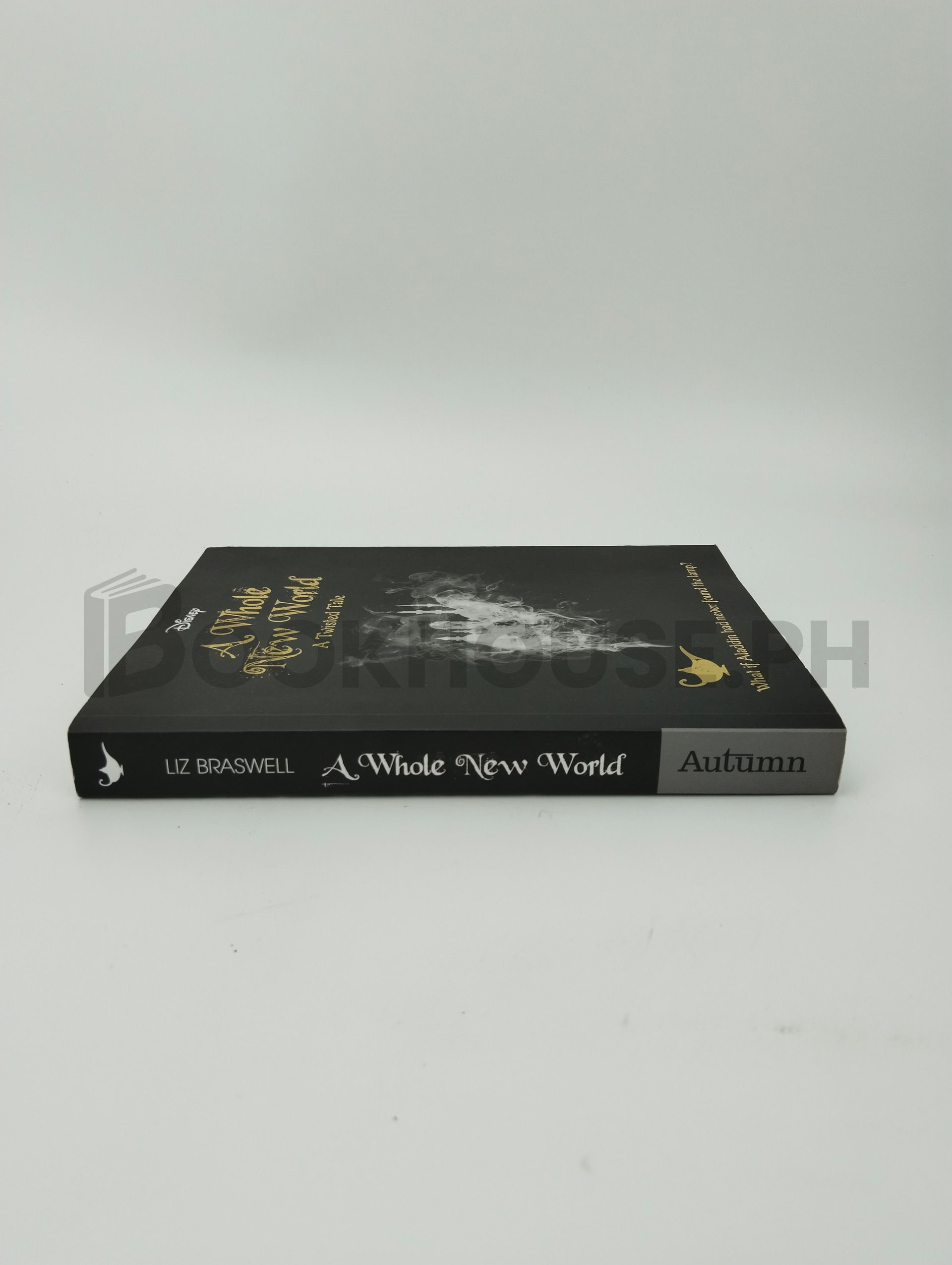 Aladdin: A Whole New World by Autumn Publishing - Image 3