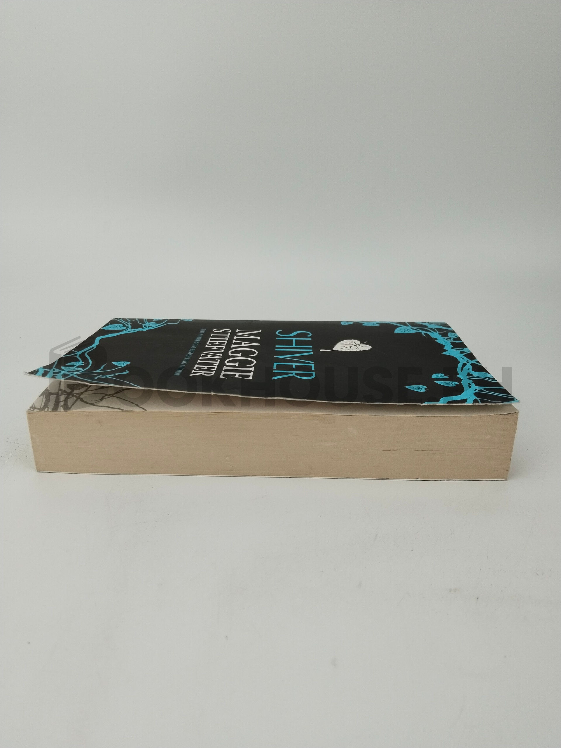 Shiver by Maggie Stiefvater - Image 4