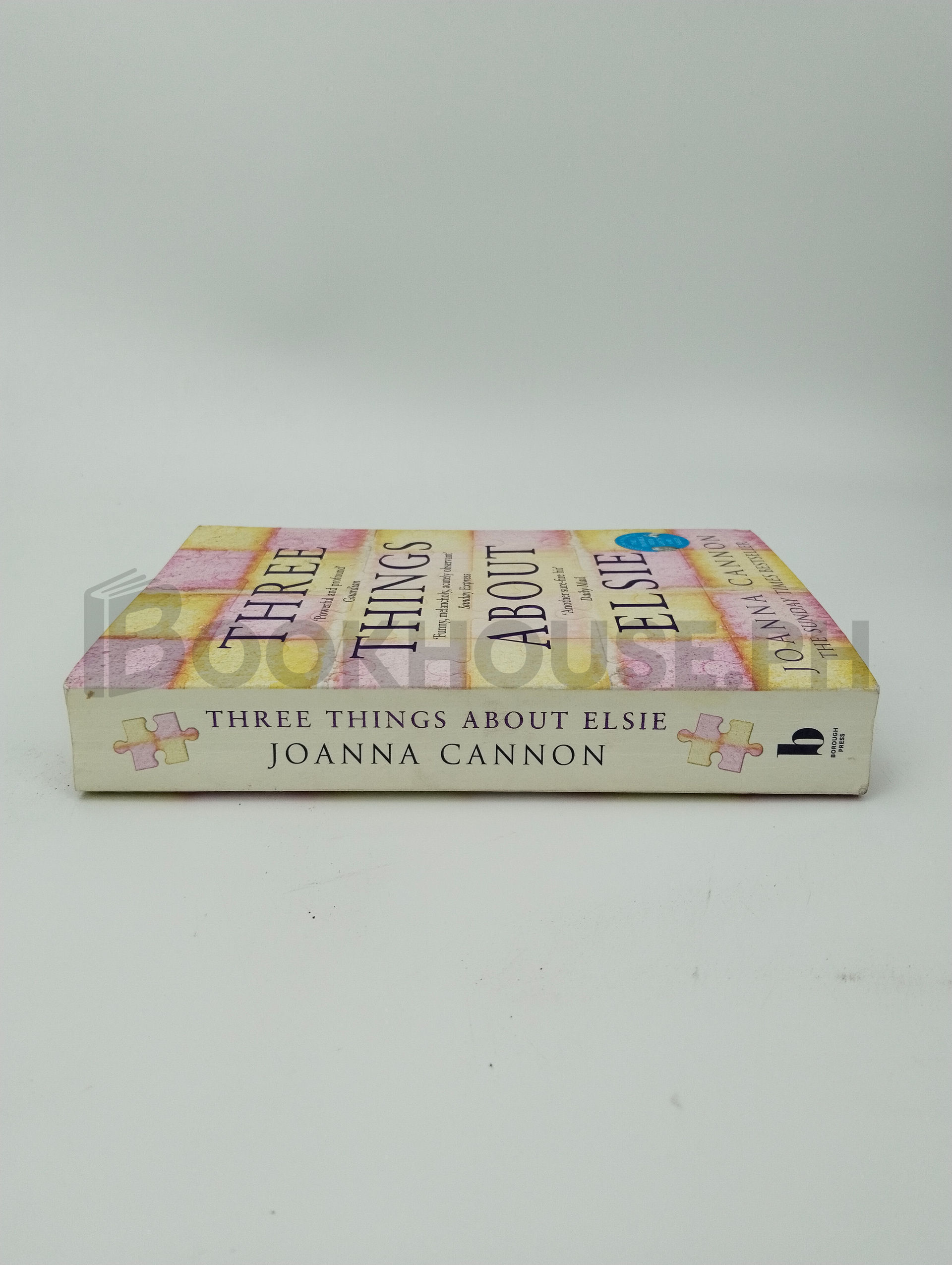 Three Things About Elsie by Joanna Cannon - Image 3