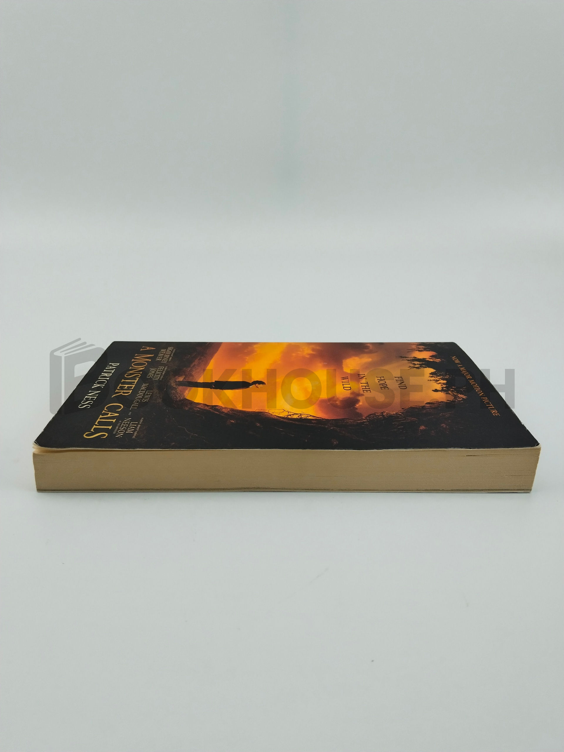 A Monster Calls by Patrick Ness - Image 4