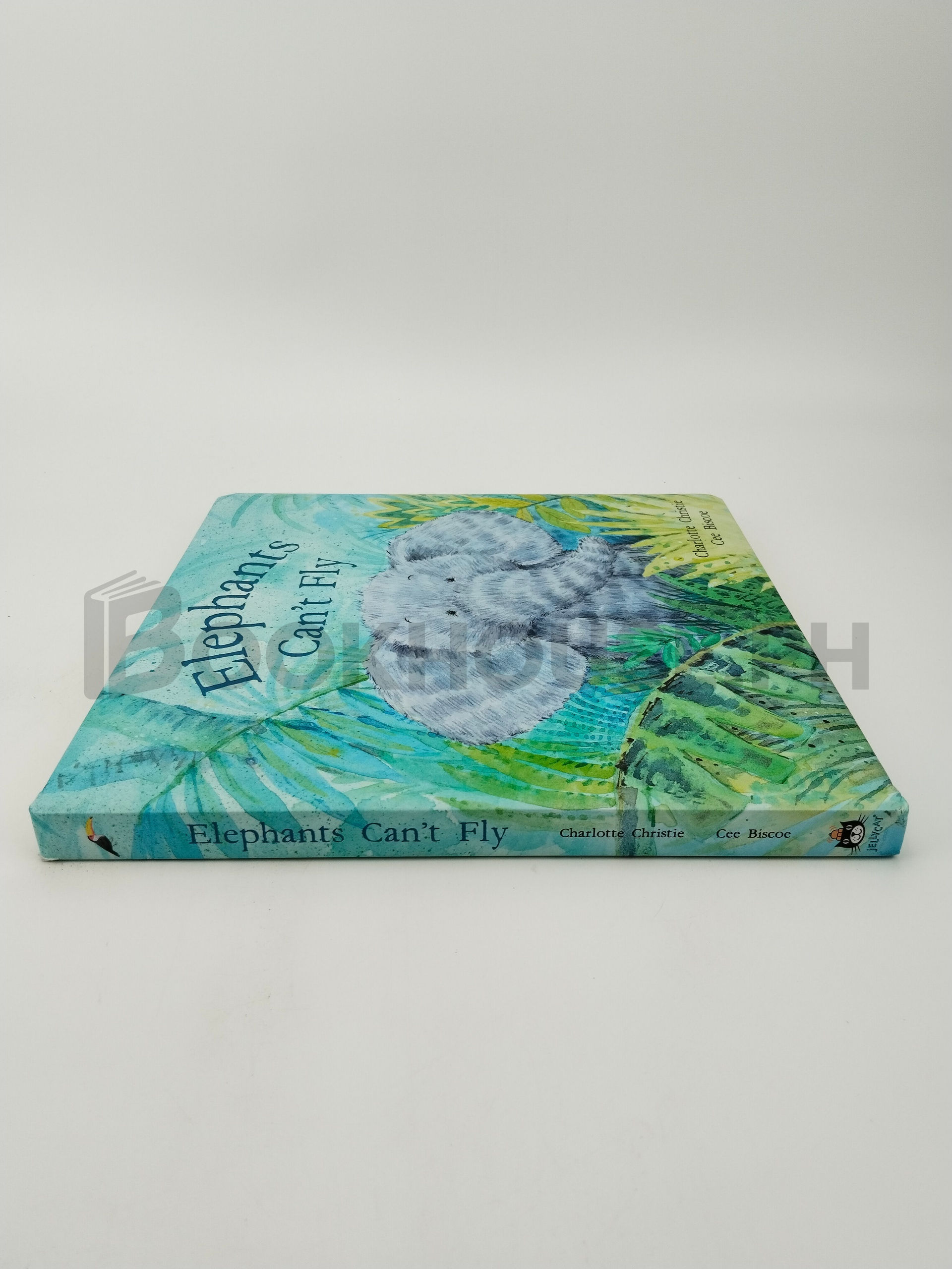 Elephants Can't Fly by Charlotte Christie, Cee Biscoe - Image 3