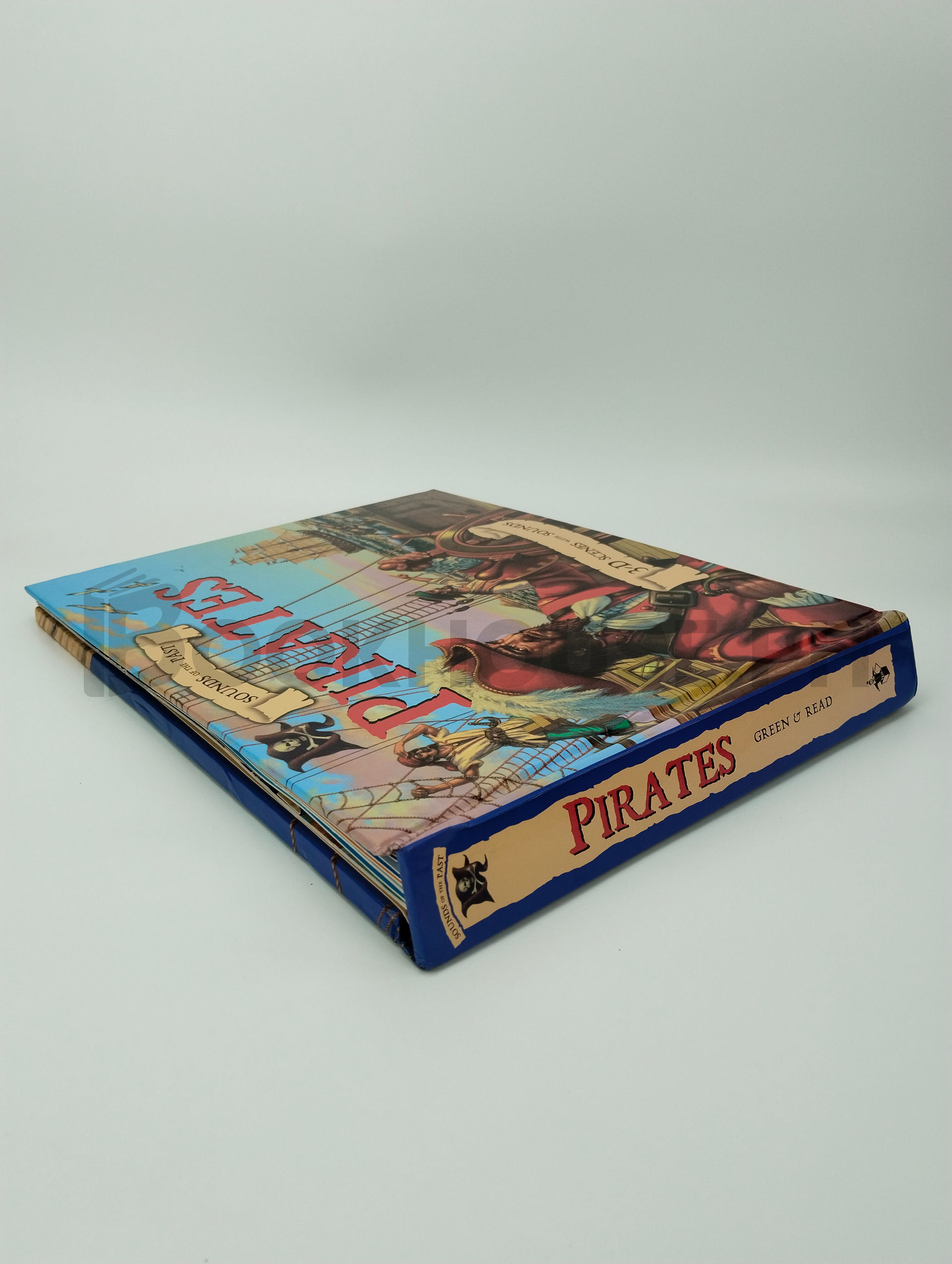 Sounds Of The Past Pirates by Templar Publishing - Image 2