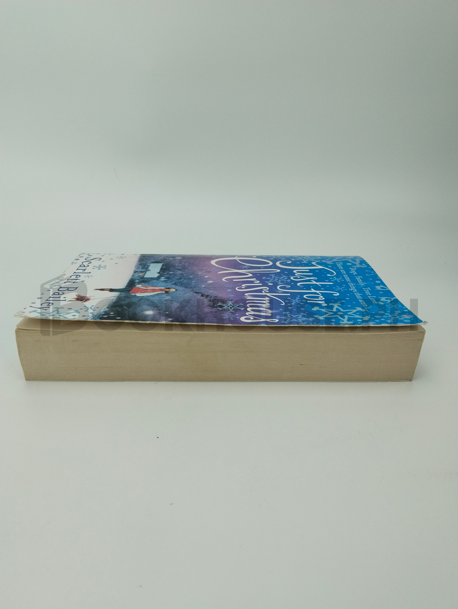 Just For Christmas by Scarlett Bailey - Image 4