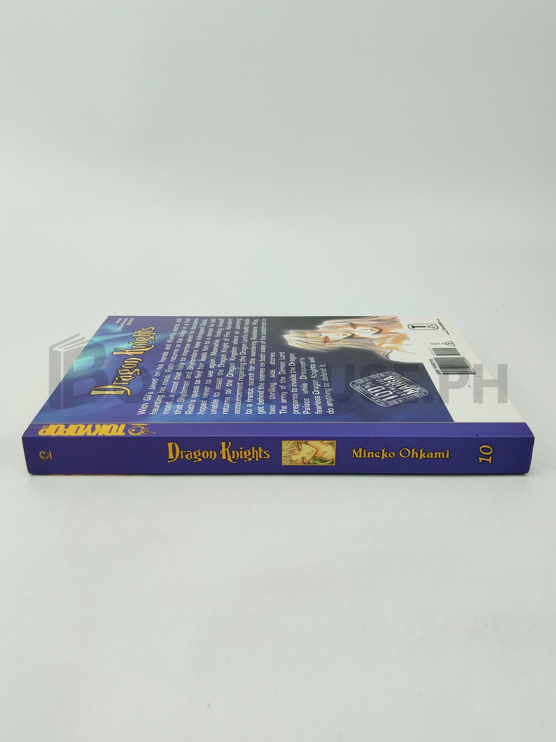 Dragon Knights 10 by Mineko Ohkami - Image 3