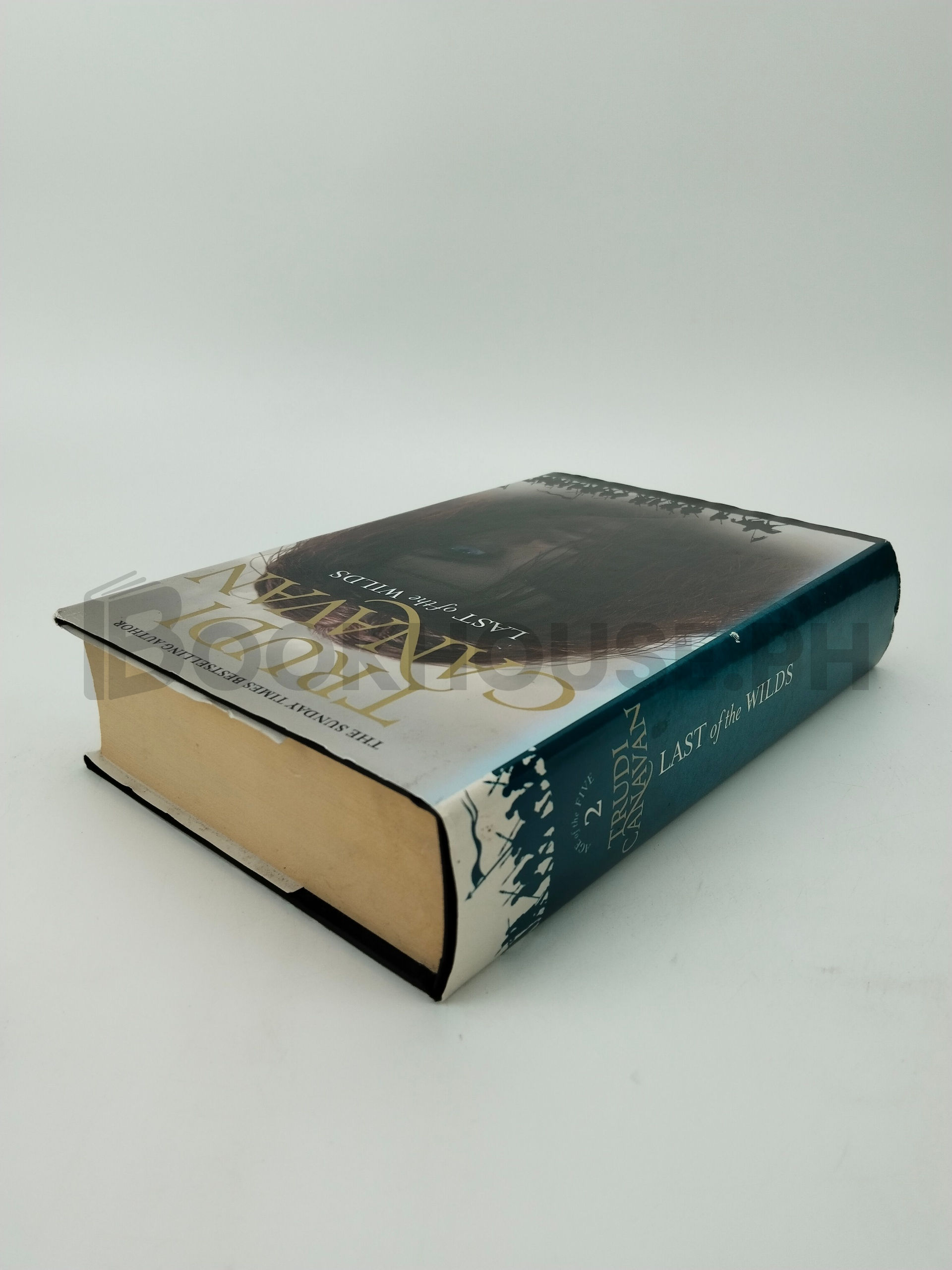 Last Of The Wilds by Trudi Canavan - Image 2