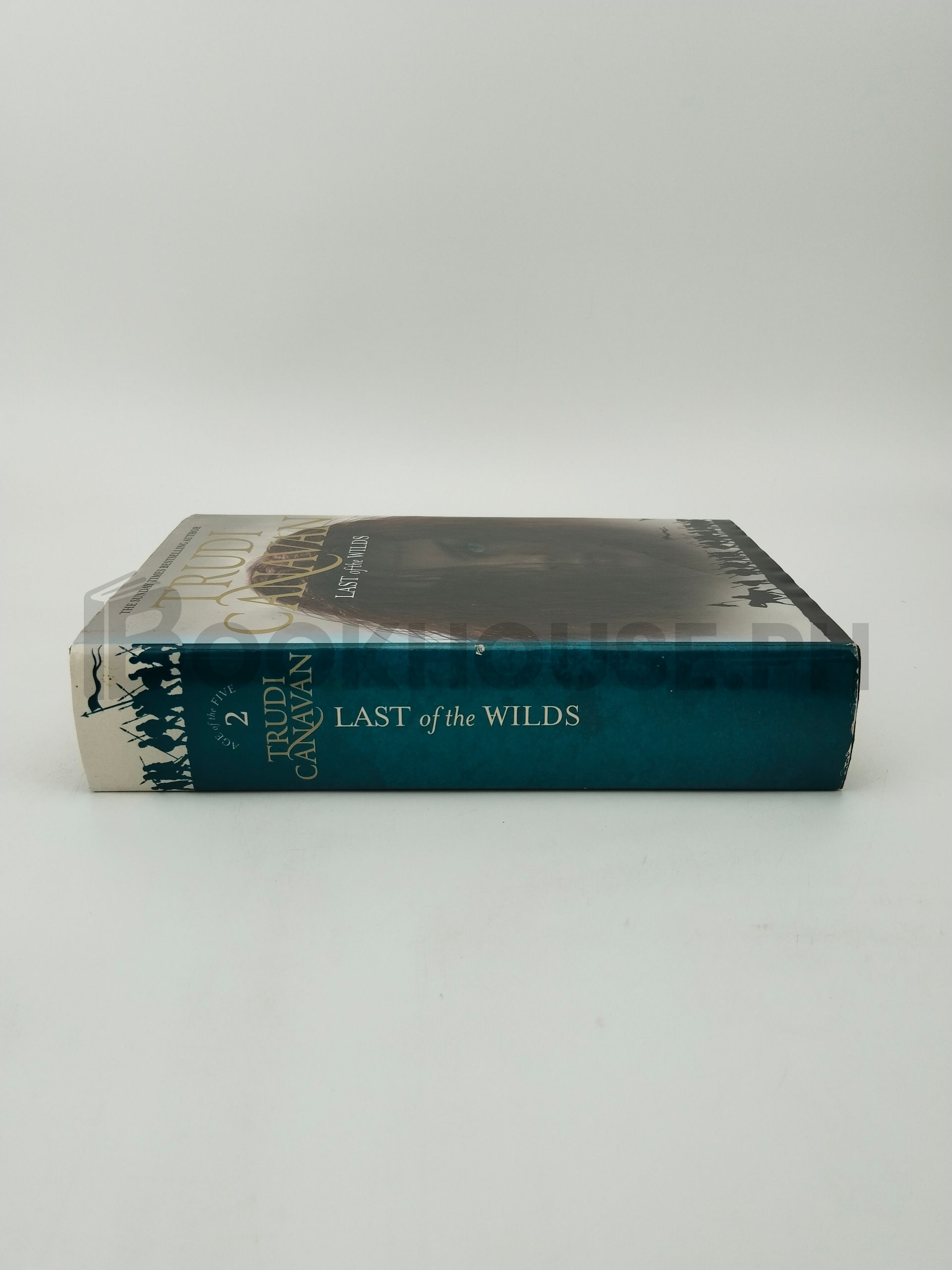 Last Of The Wilds by Trudi Canavan - Image 3