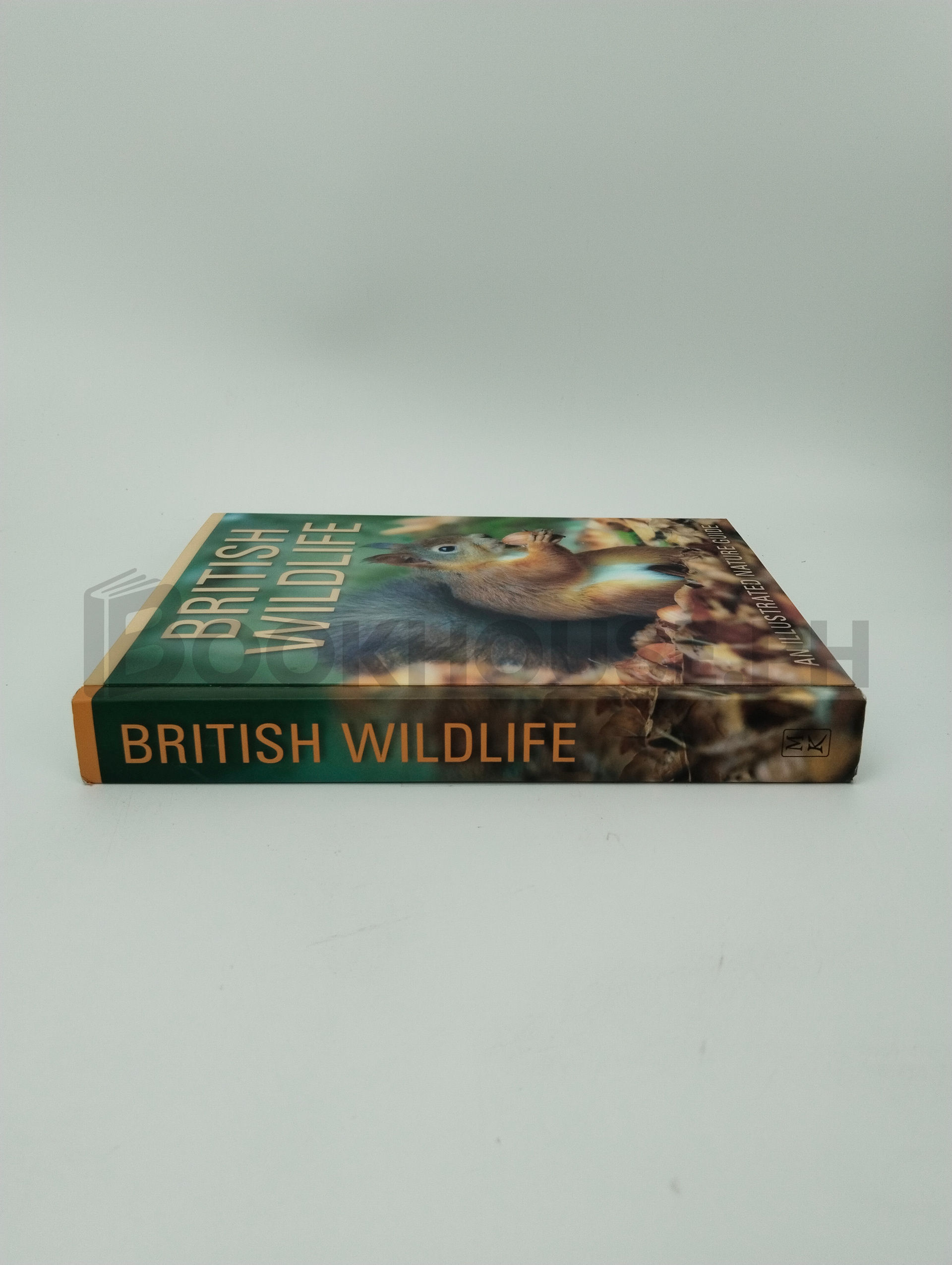 British Wildlife by Miles Kelly - Image 3