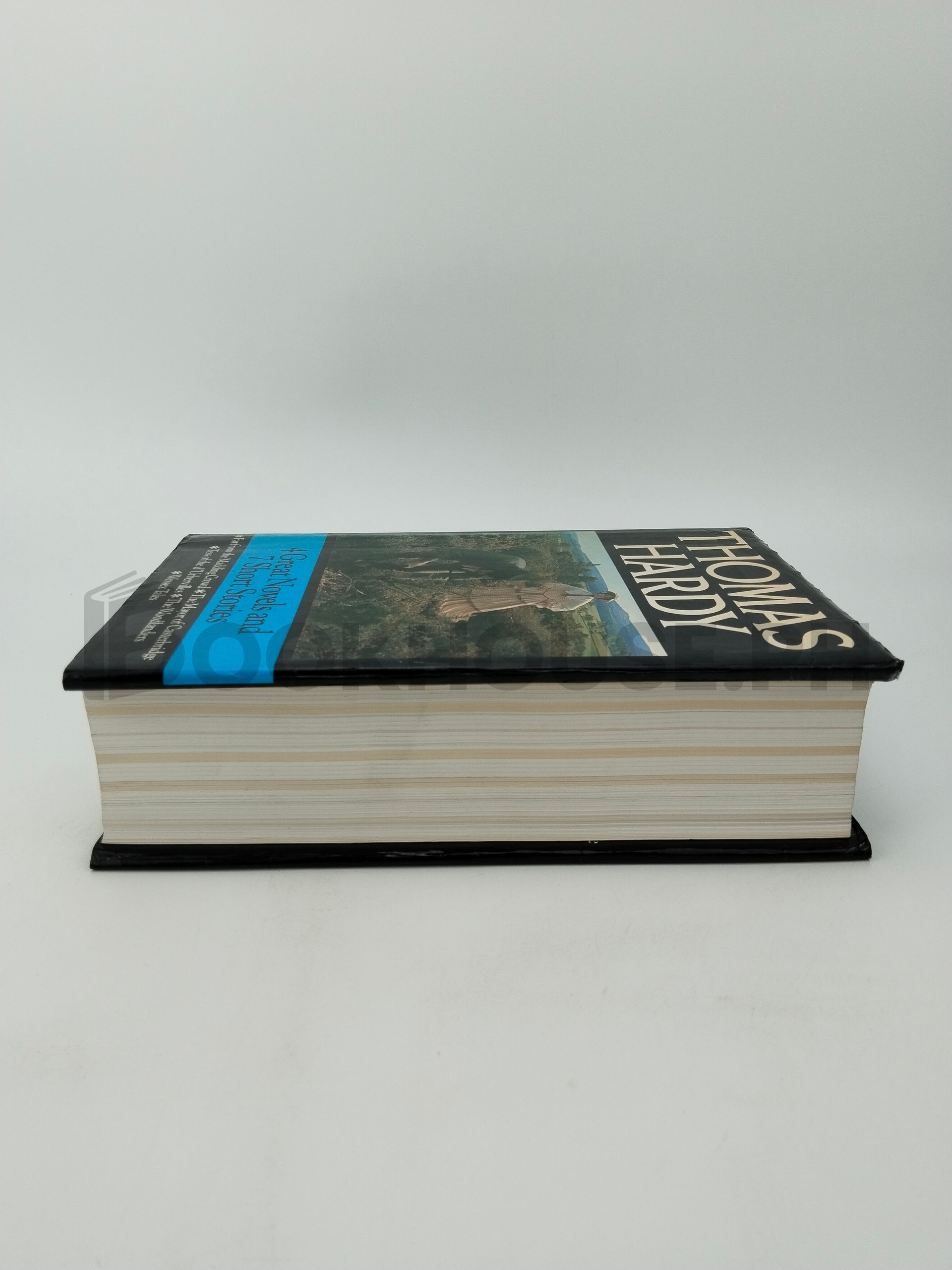 4 Great Novels And 7 Short Stories by Thomas Hardy - Image 4