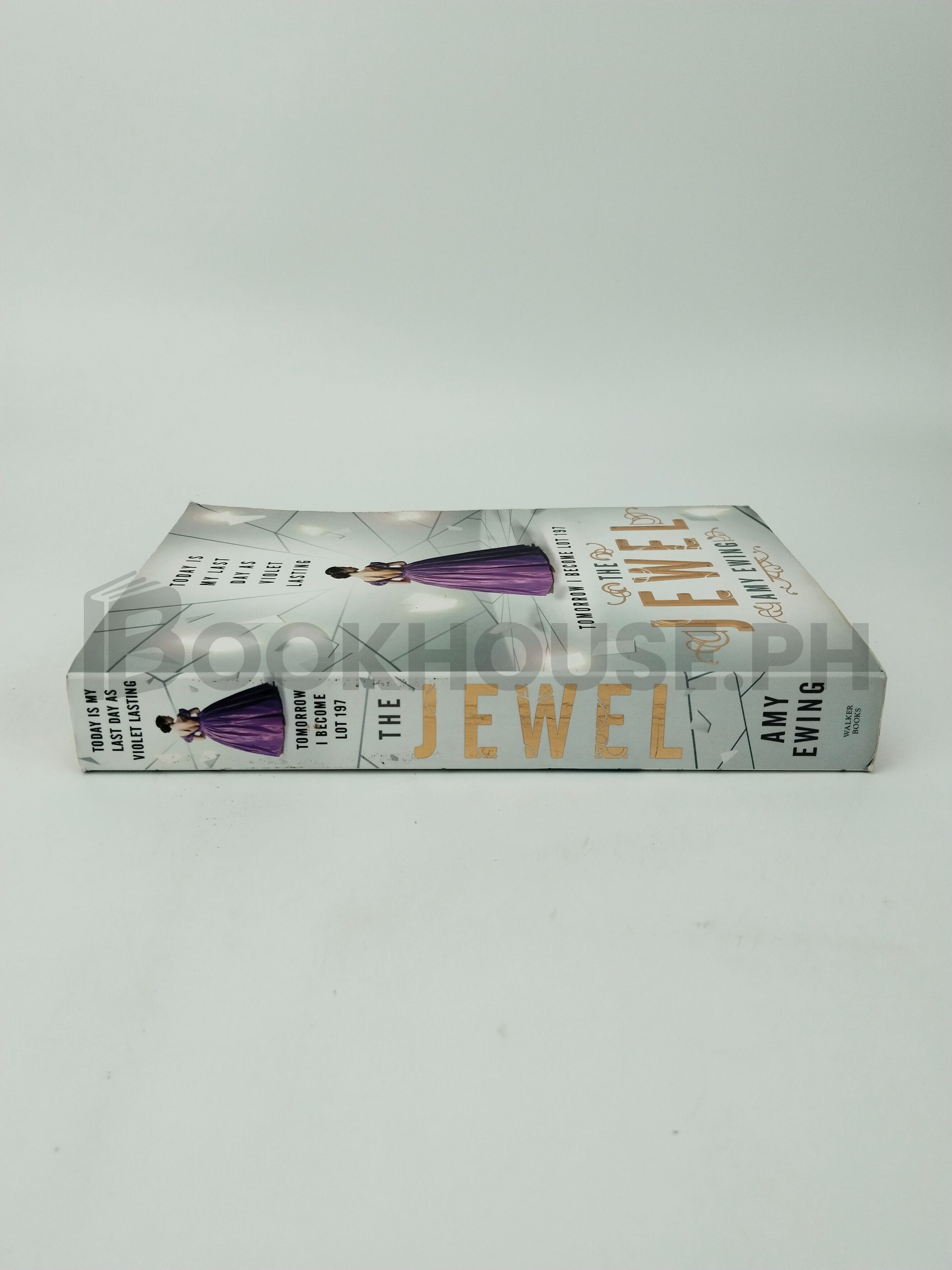 The Jewel by Amy Ewing - Image 3