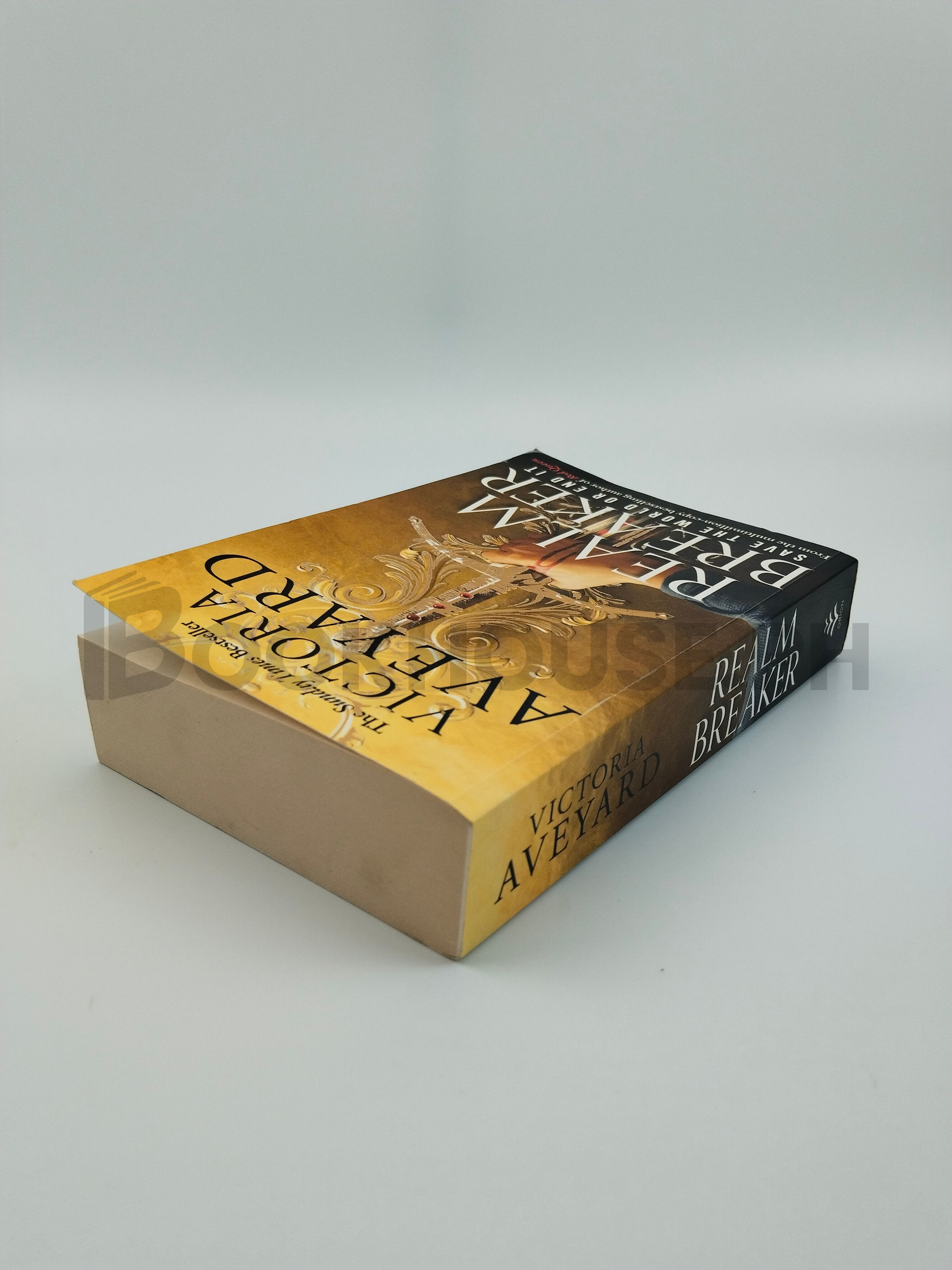 Realm Breaker by Victoria Aveyard - Image 2