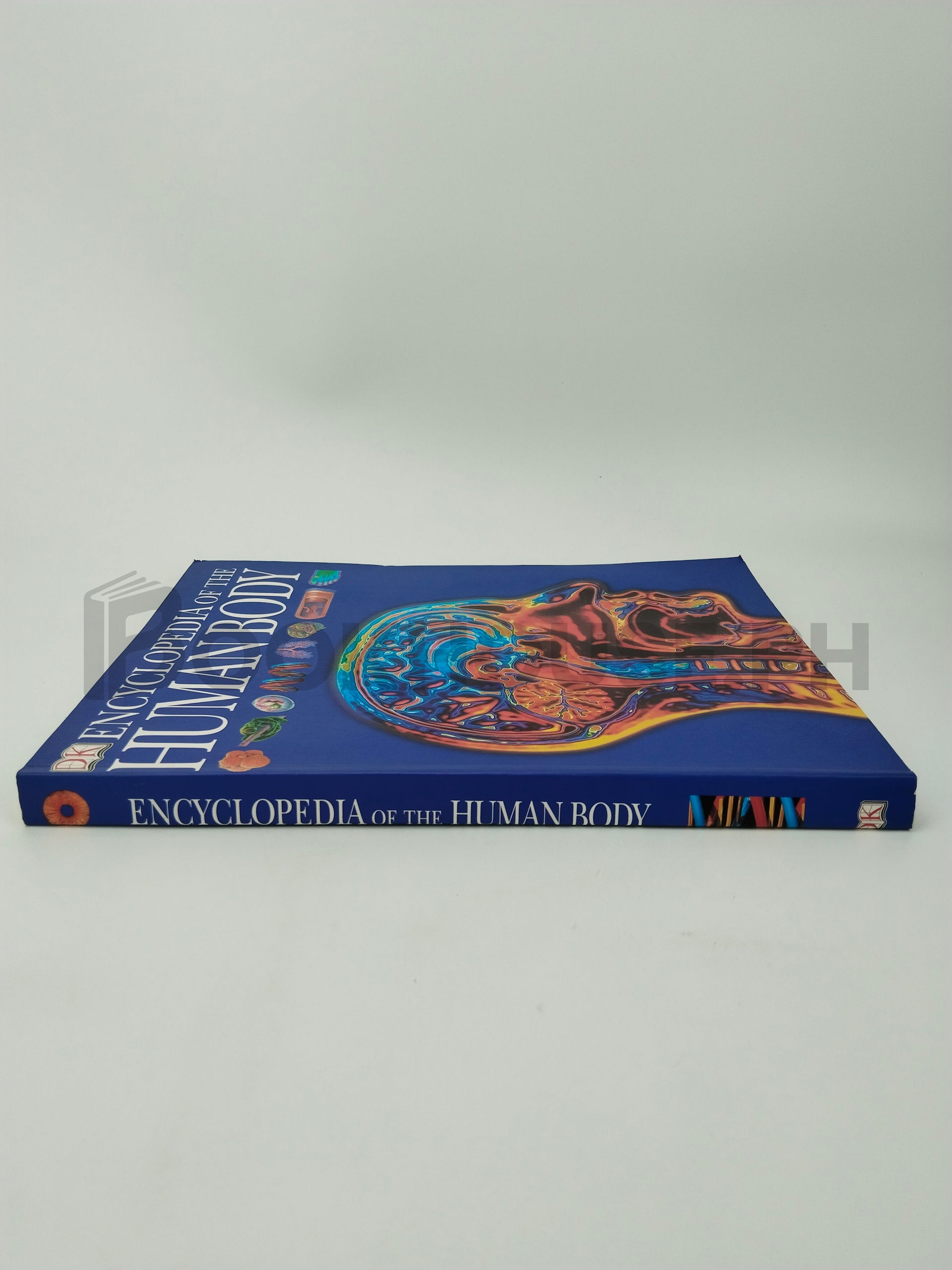 Encyclopedia Of The Human Body by Richard Walker, Dk Publishing, Inc - Image 3