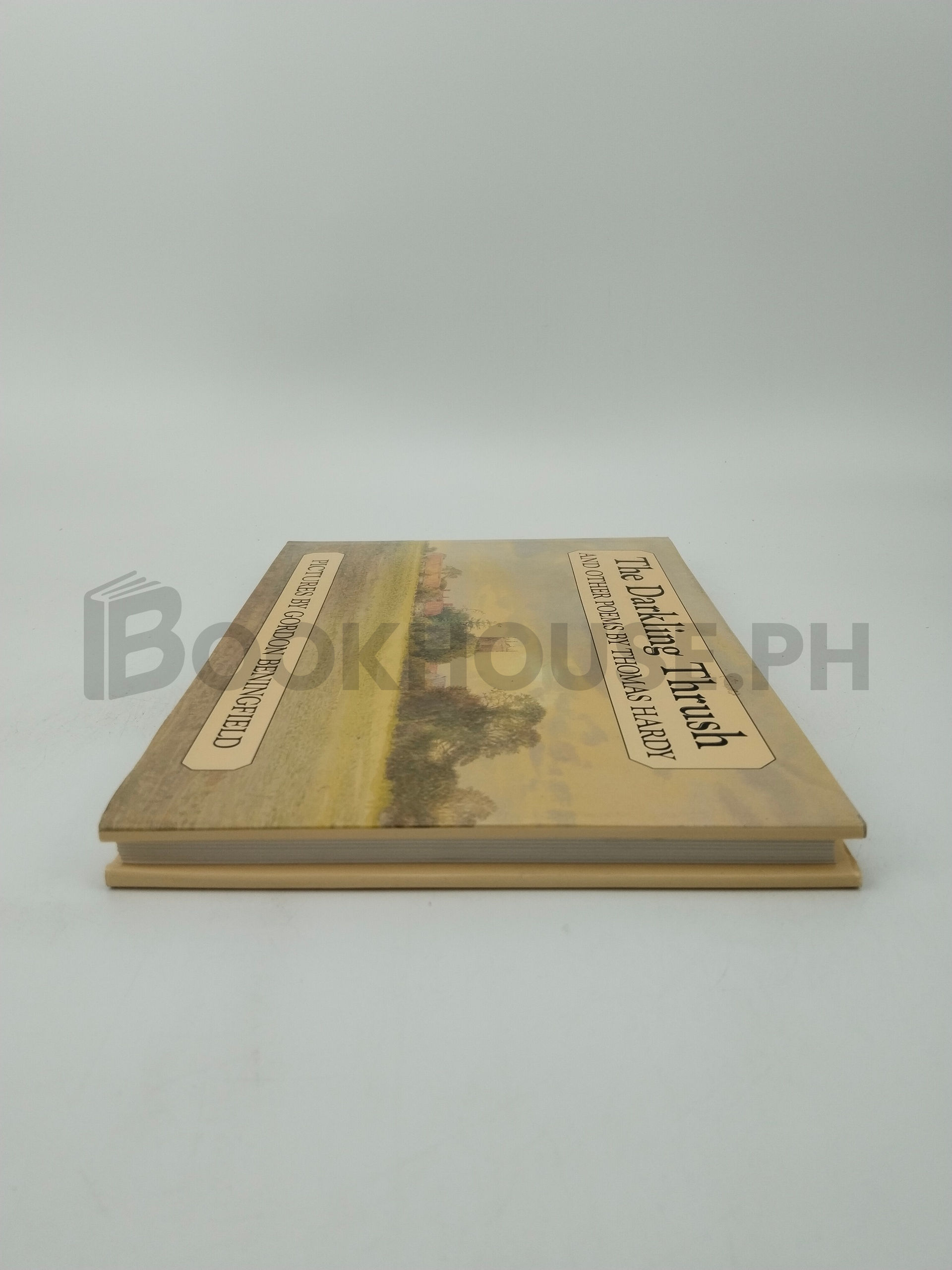 The Darkling Thrush by Thomas Hardy - Image 4