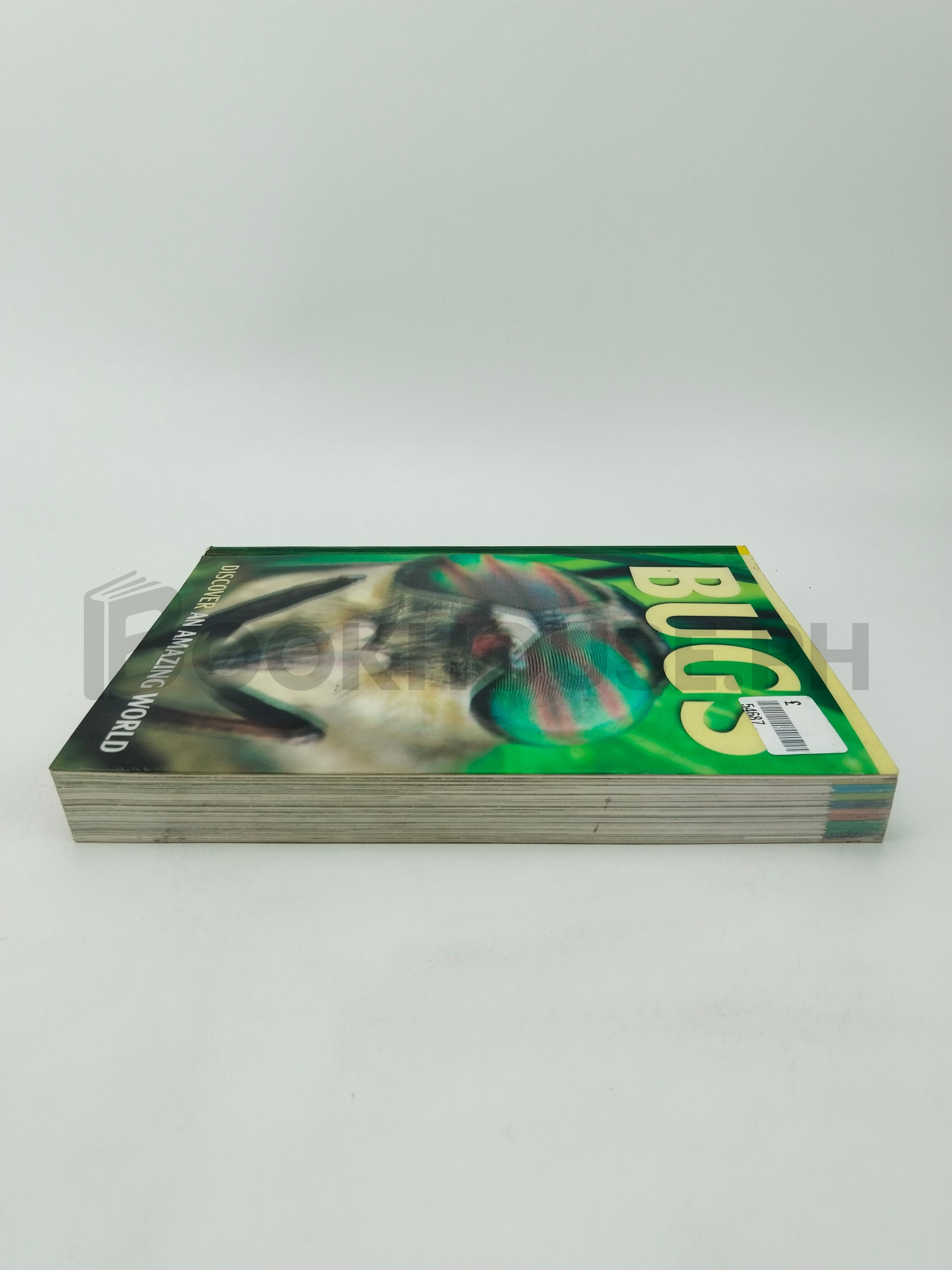 Bugs by Barbara Taylor - Image 4