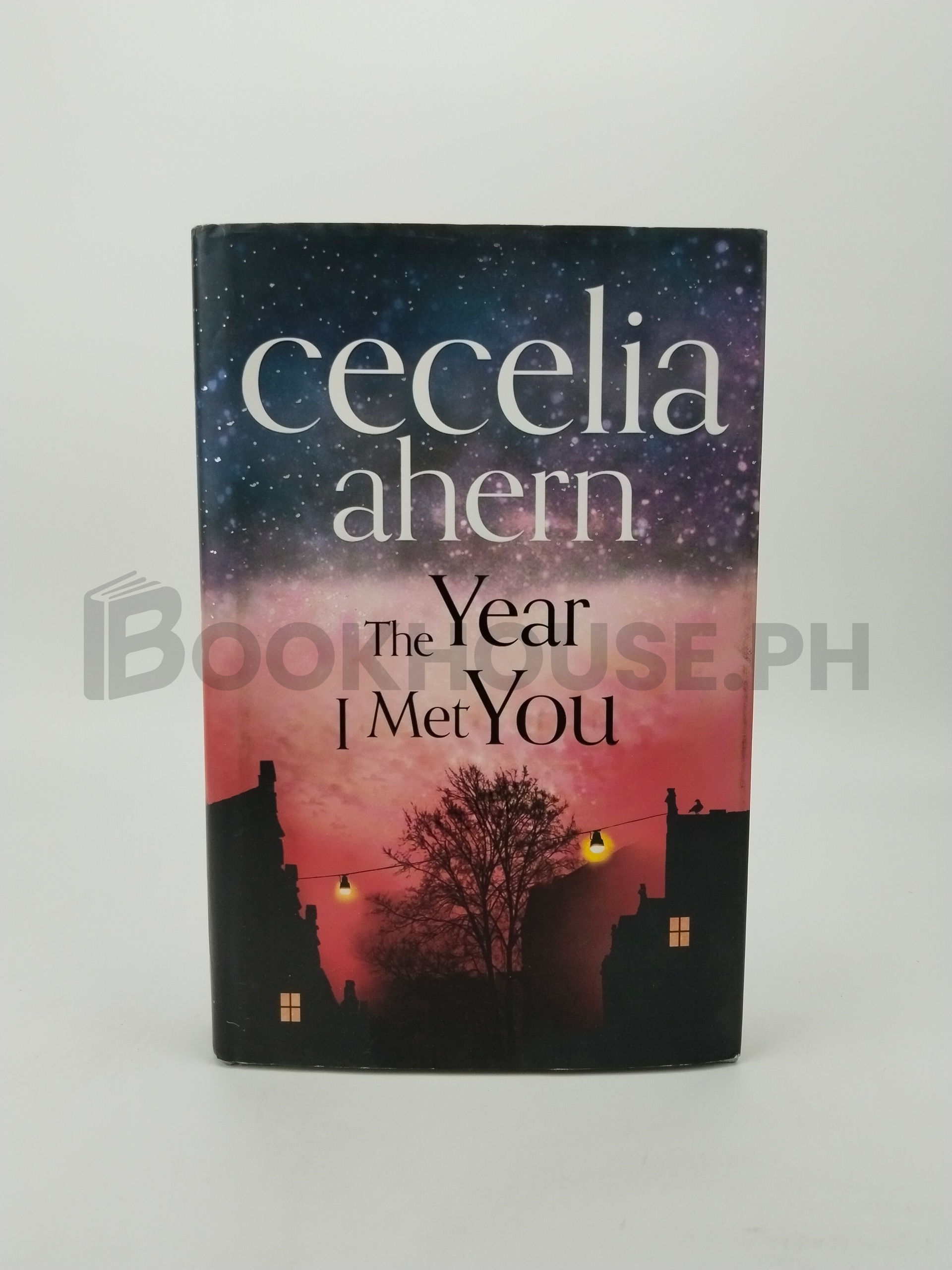The Year I Met You by Cecelia Ahern