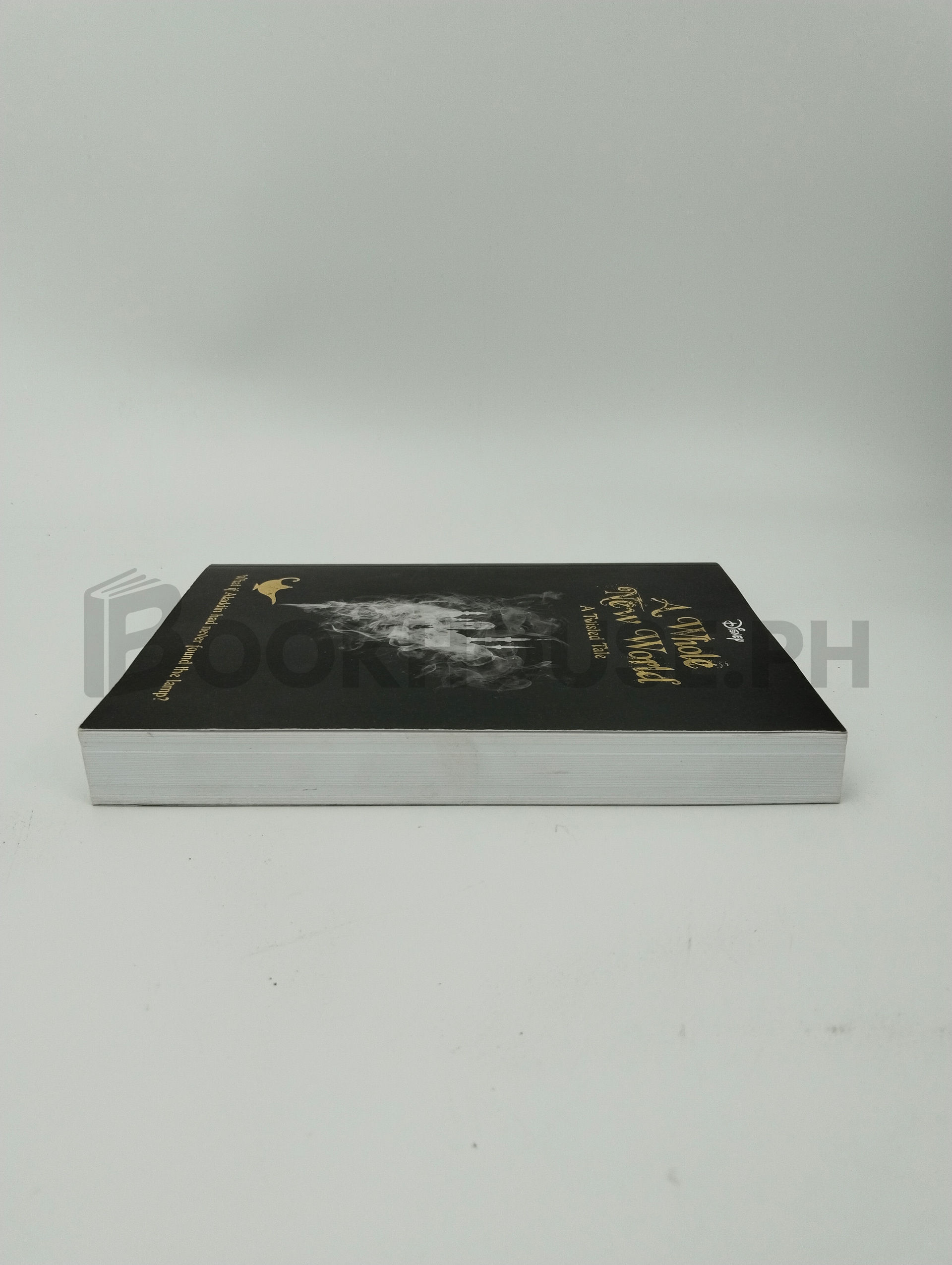 Aladdin: A Whole New World by Autumn Publishing - Image 4