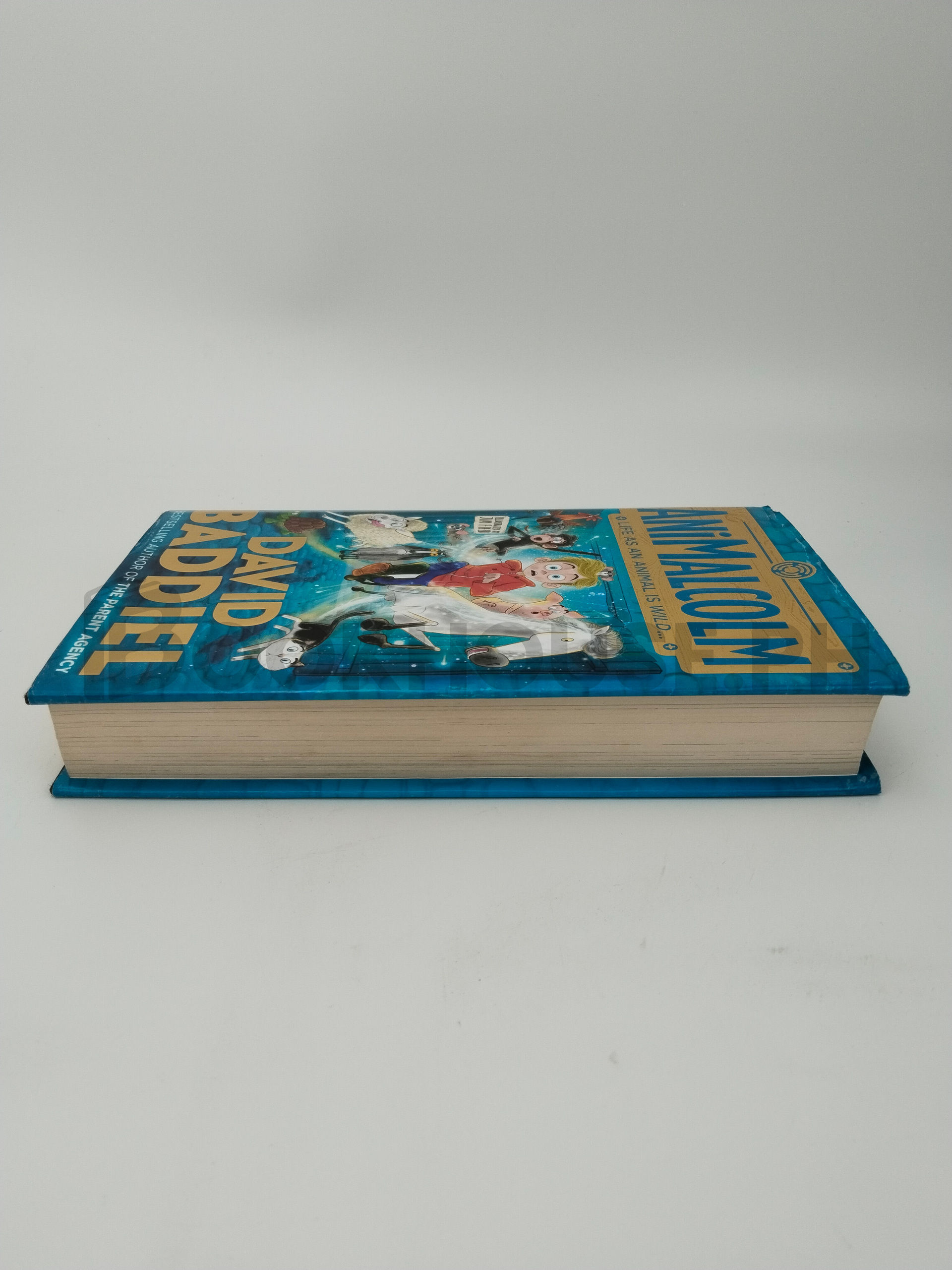 Animalcolm by David Baddiel - Image 4