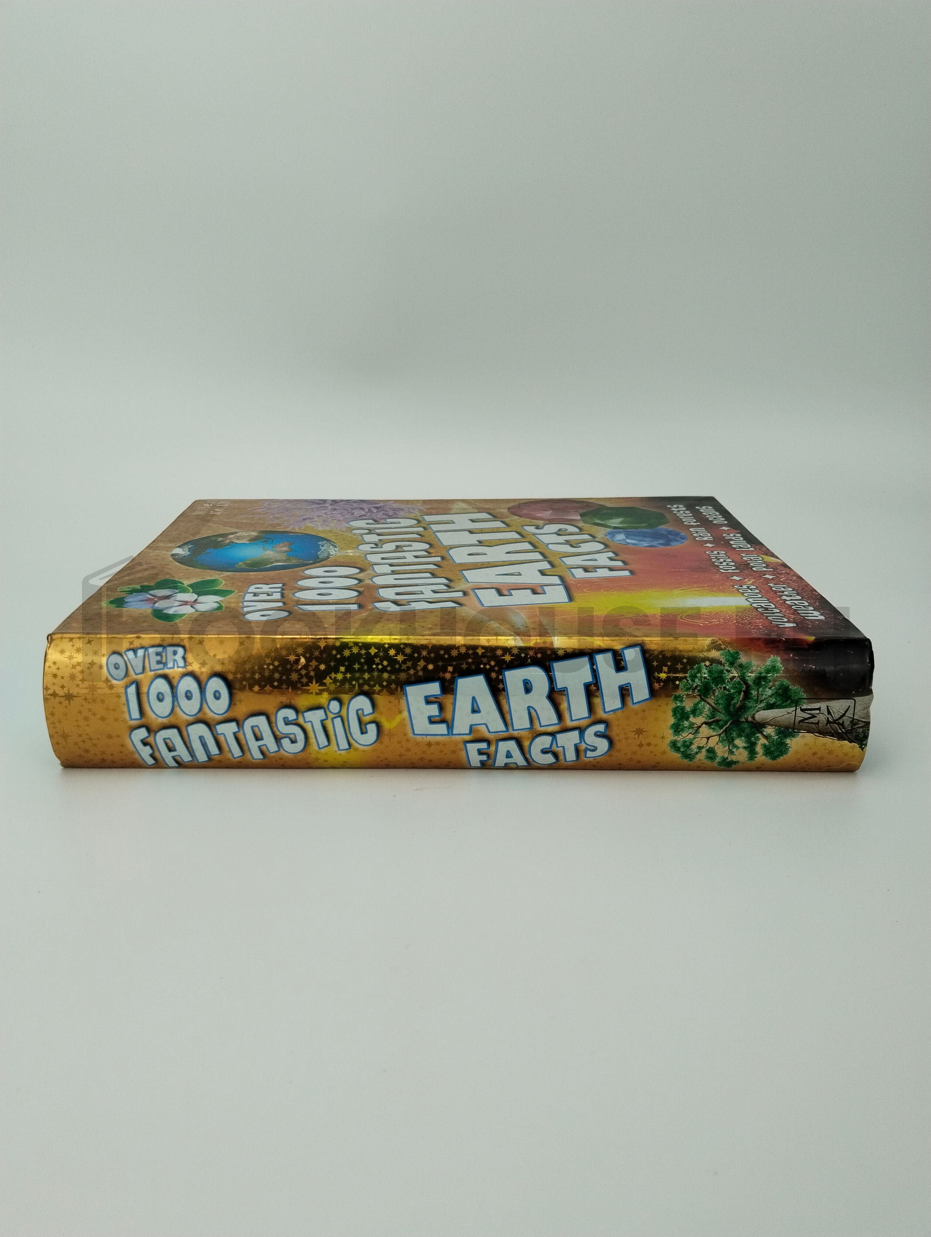 Over 1000 Fantastic Earth Facts by Belinda Gallagher - Image 3