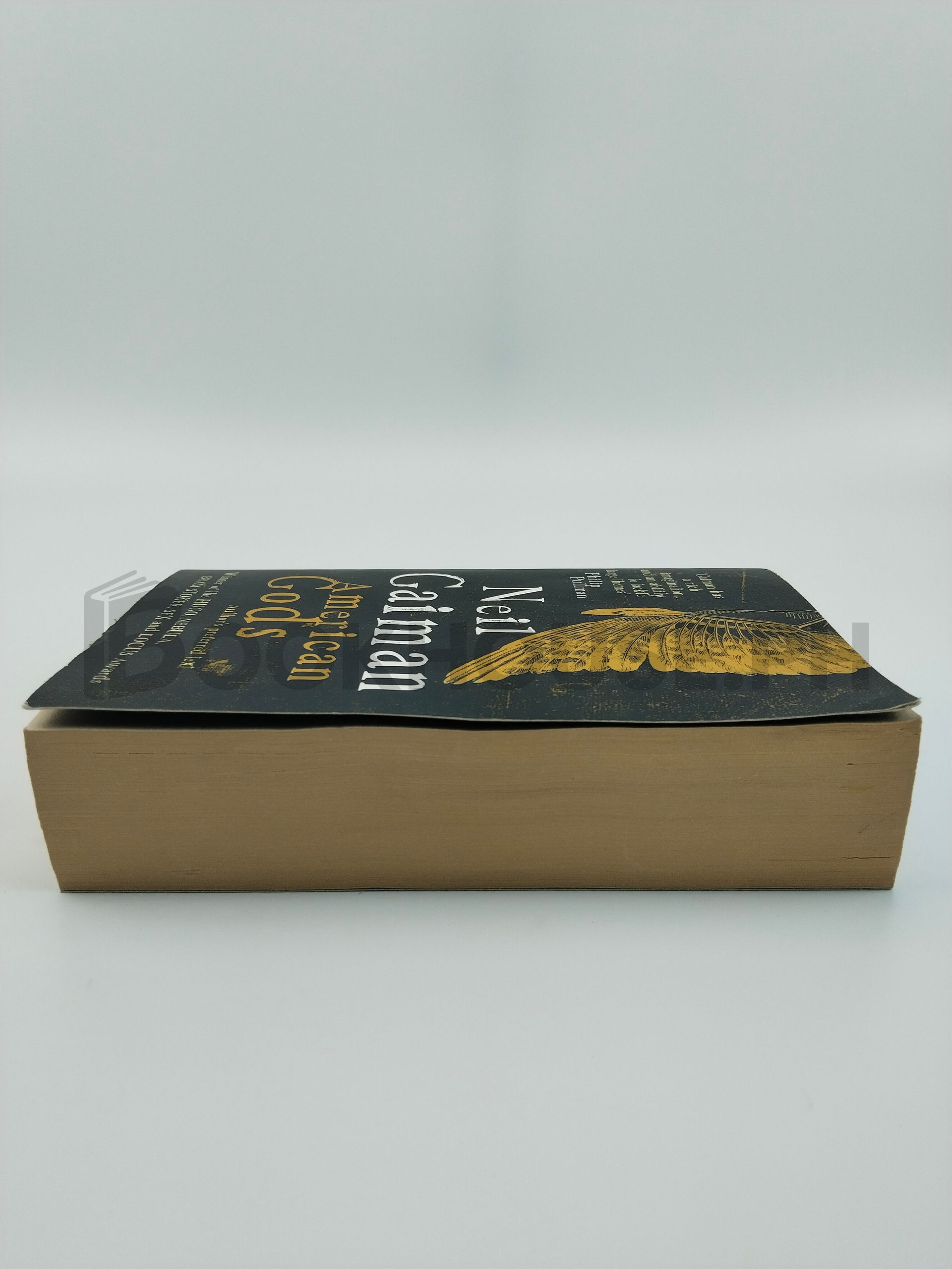 American Gods by Neil Gaiman - Image 4
