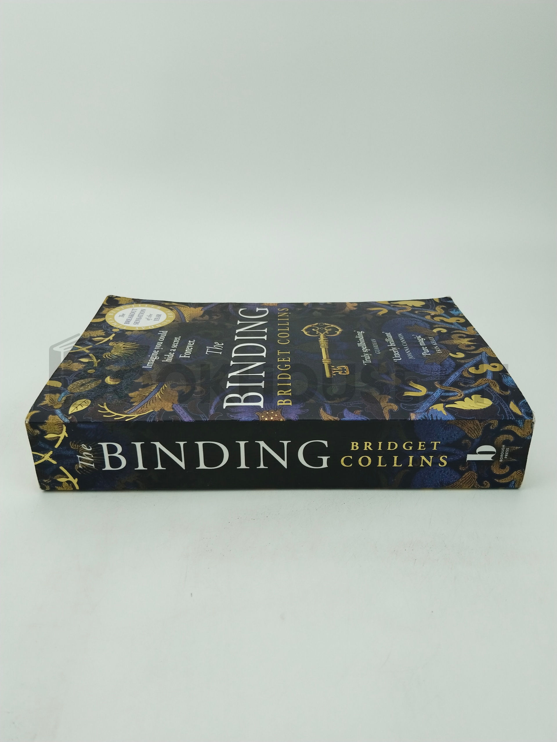 The Binding by Bridget Collins - Image 3