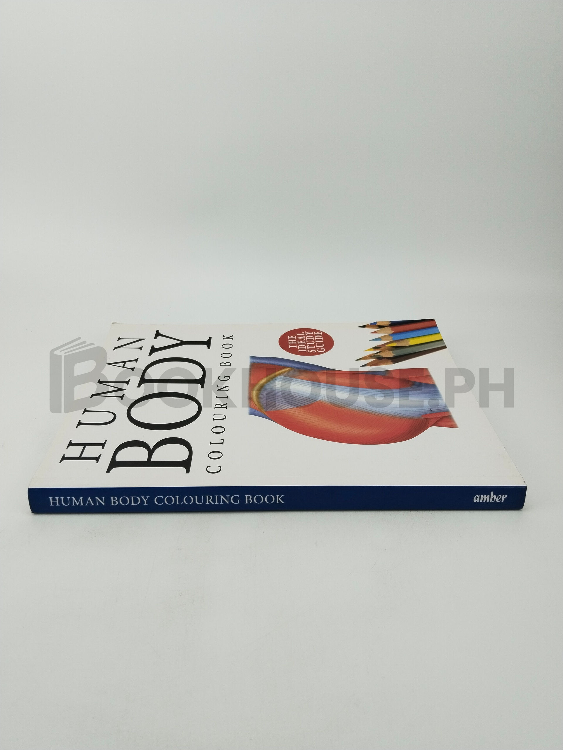 Human Body Colouring Book by Amber - Image 3