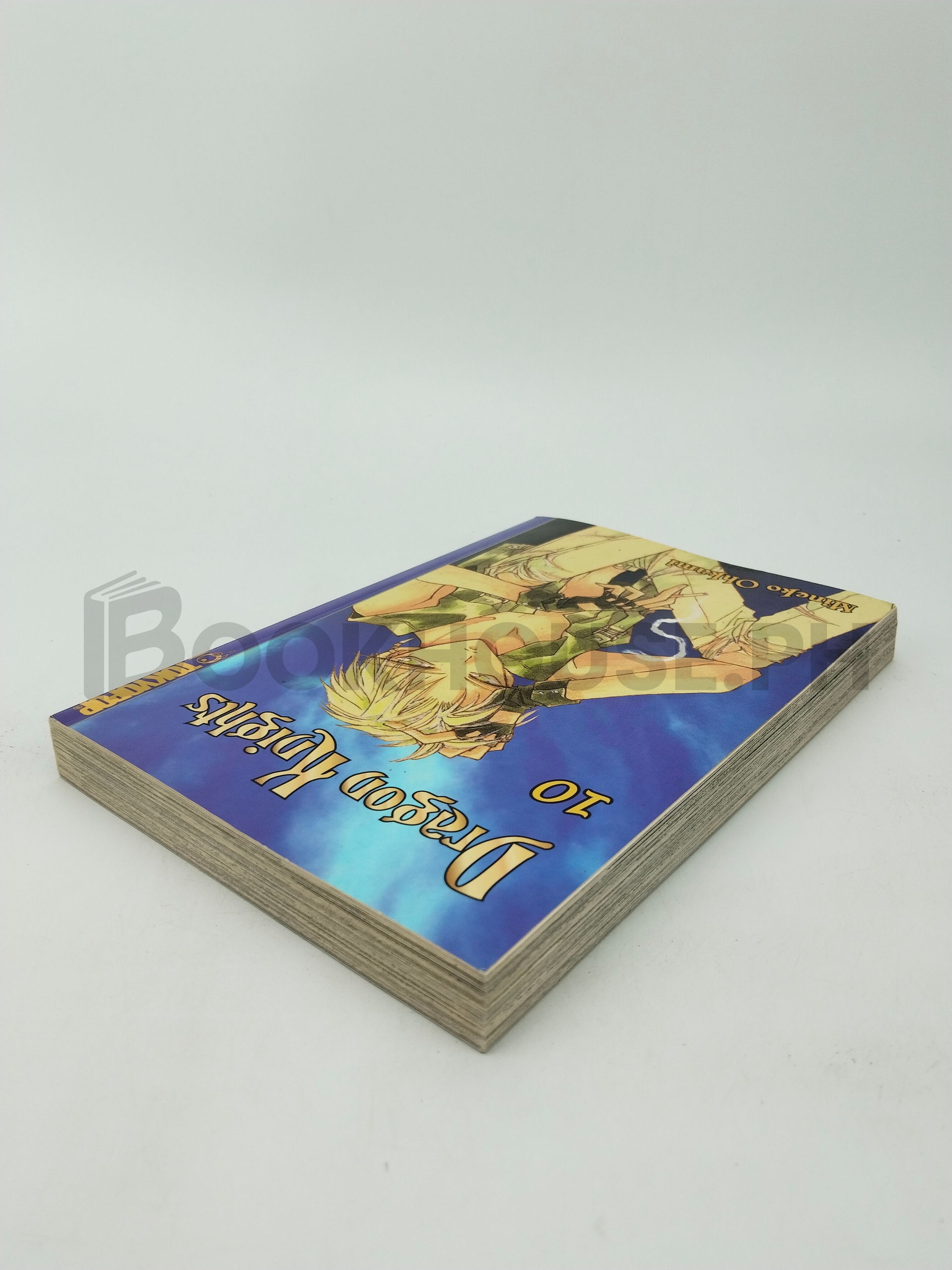 Dragon Knights 10 by Mineko Ohkami - Image 2