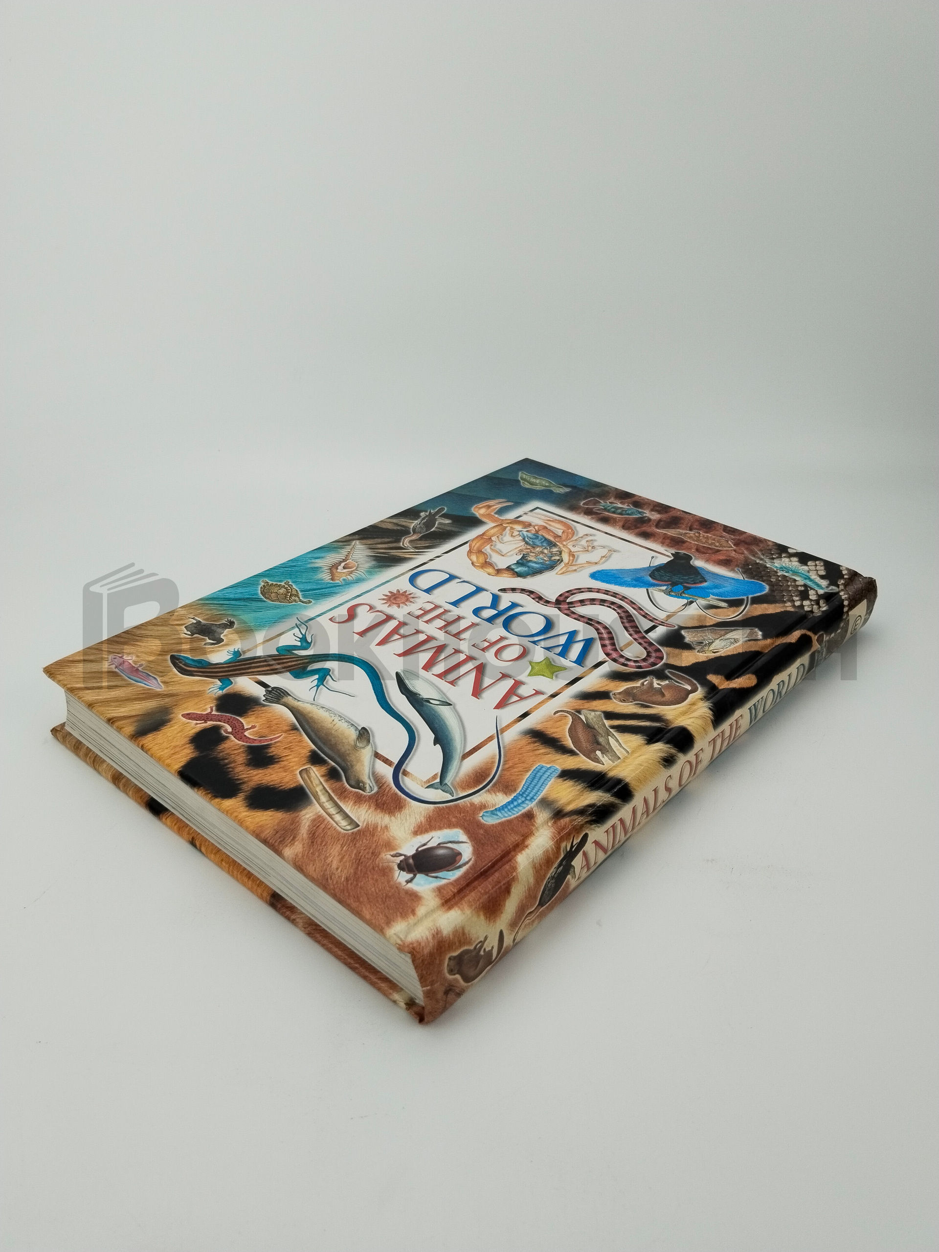 Animals Of The World by Martin Walters, Jinny Johnson - Image 2