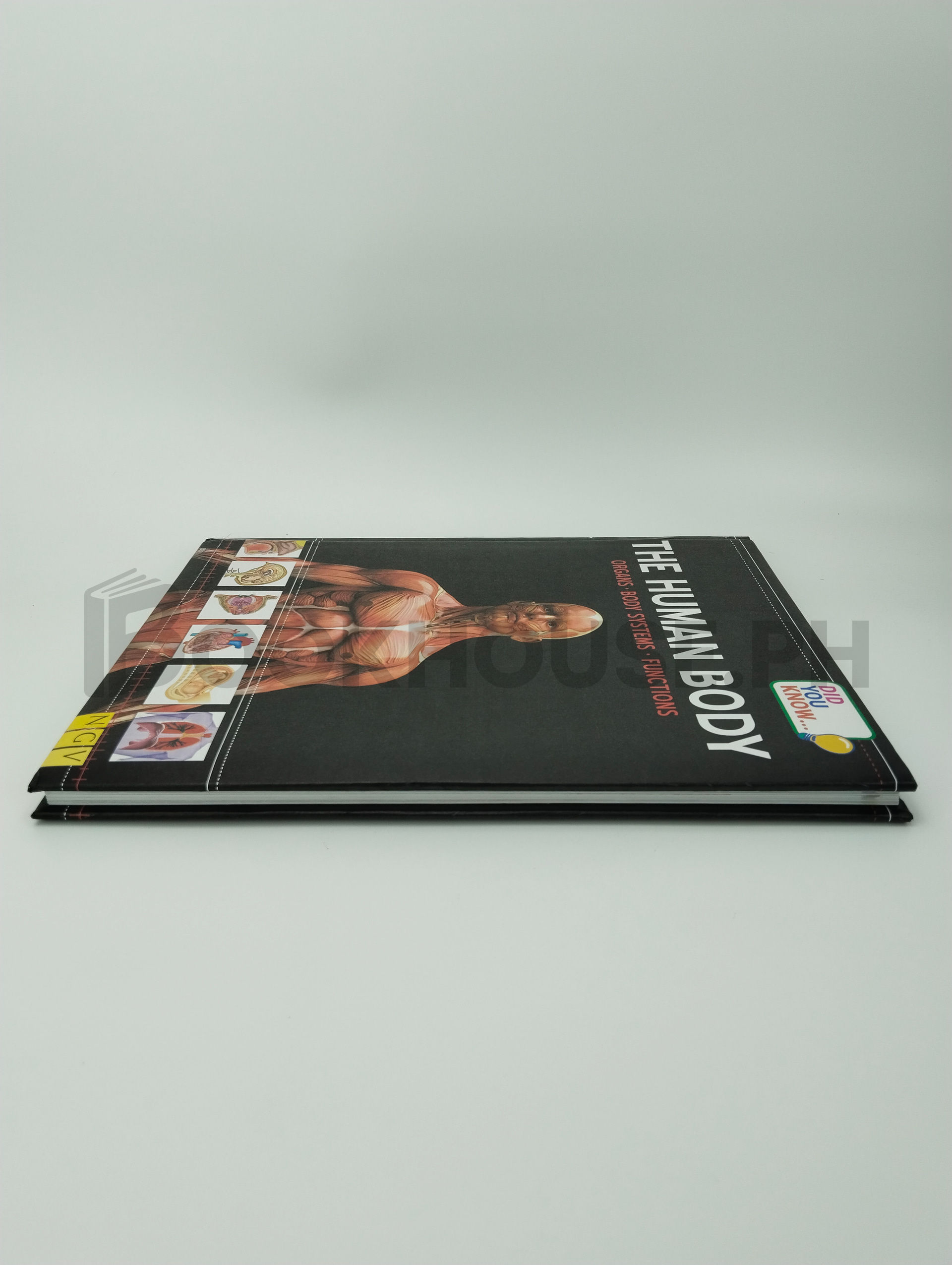 The Human Body Organs, Body System, Functions by Ngv - Image 4