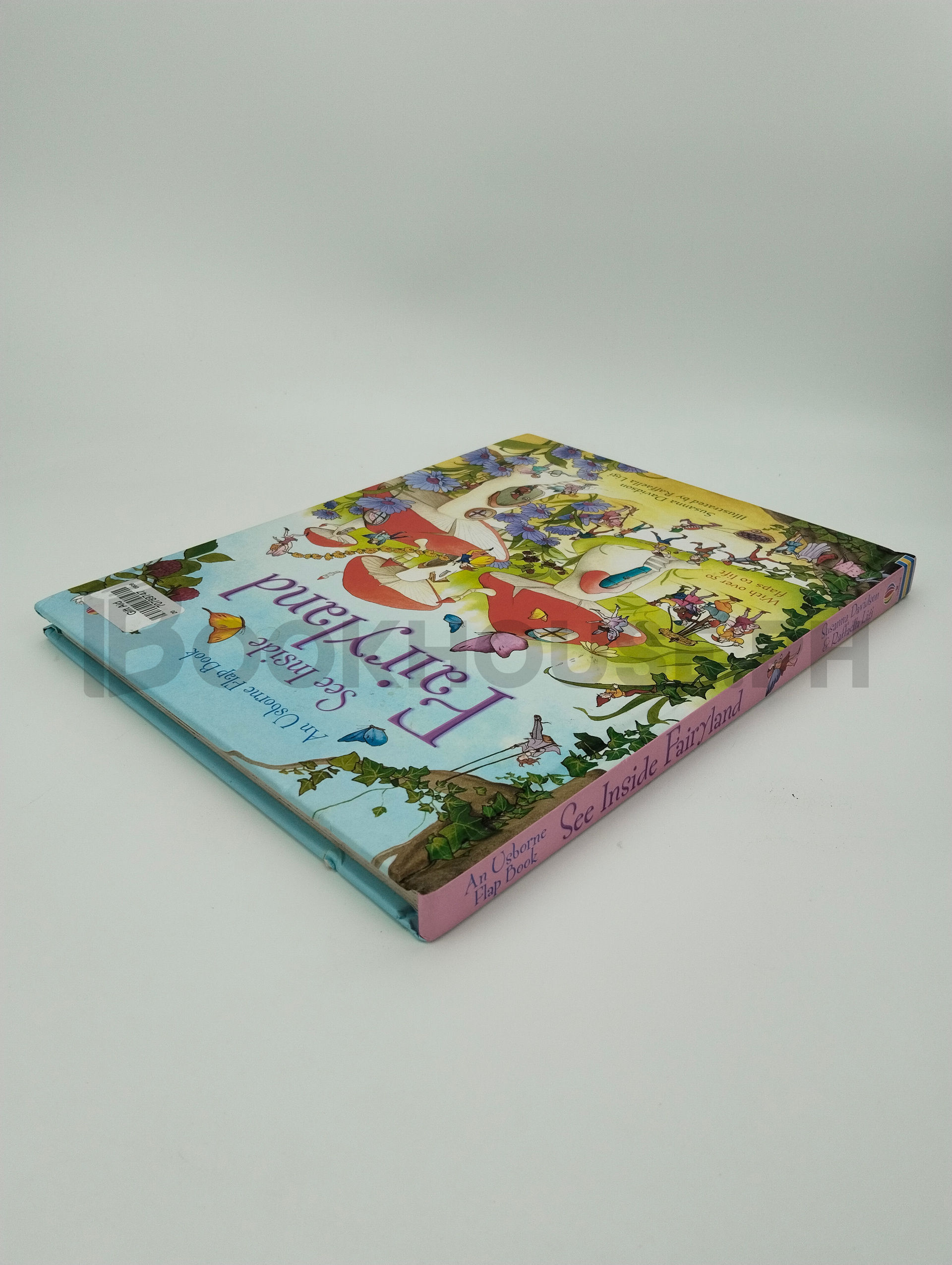 See Inside Fairyland by Susanna Davidson, Rafaella Ligi - Image 2