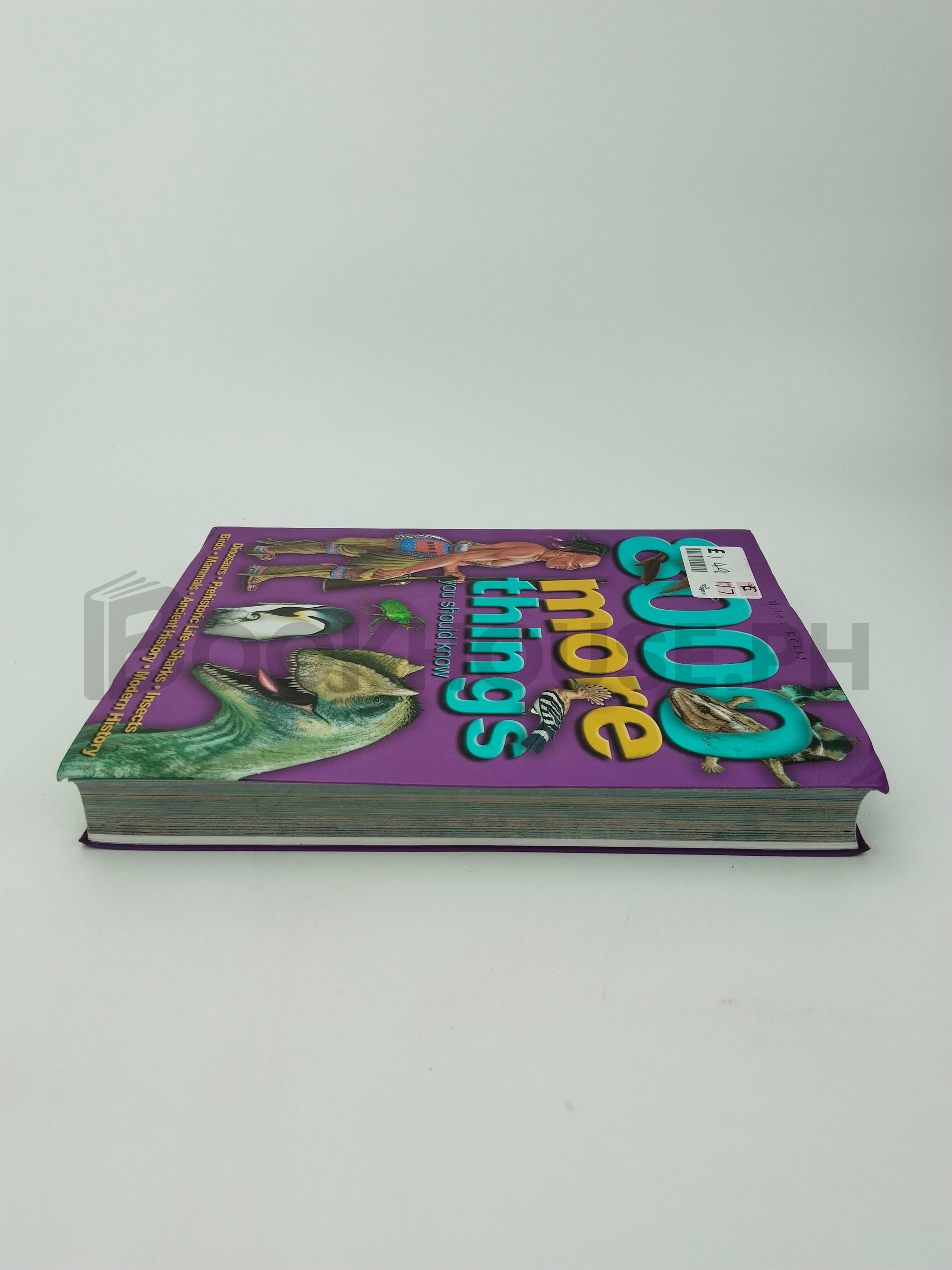 8000 More Things You Should Know by Miles Kelly Publishing, Limited - Image 4
