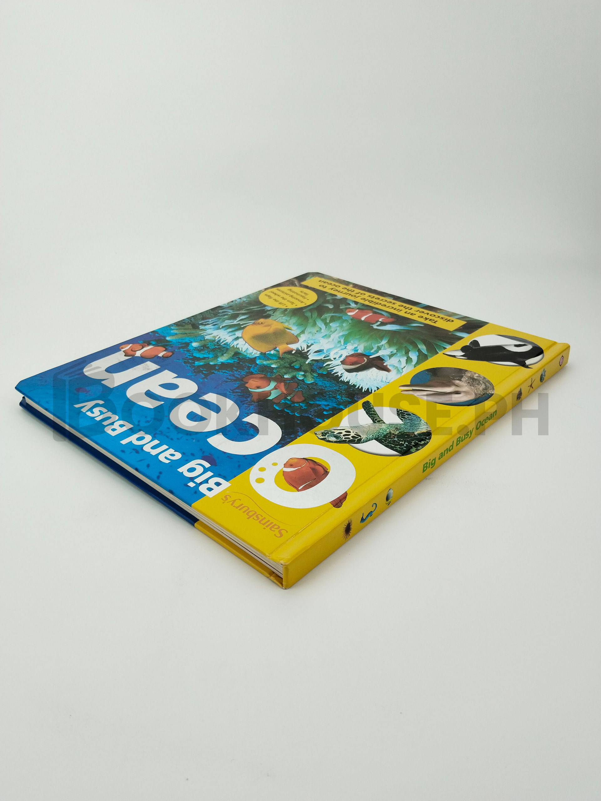 Big And Busy Ocean by Priddy Books - Image 2