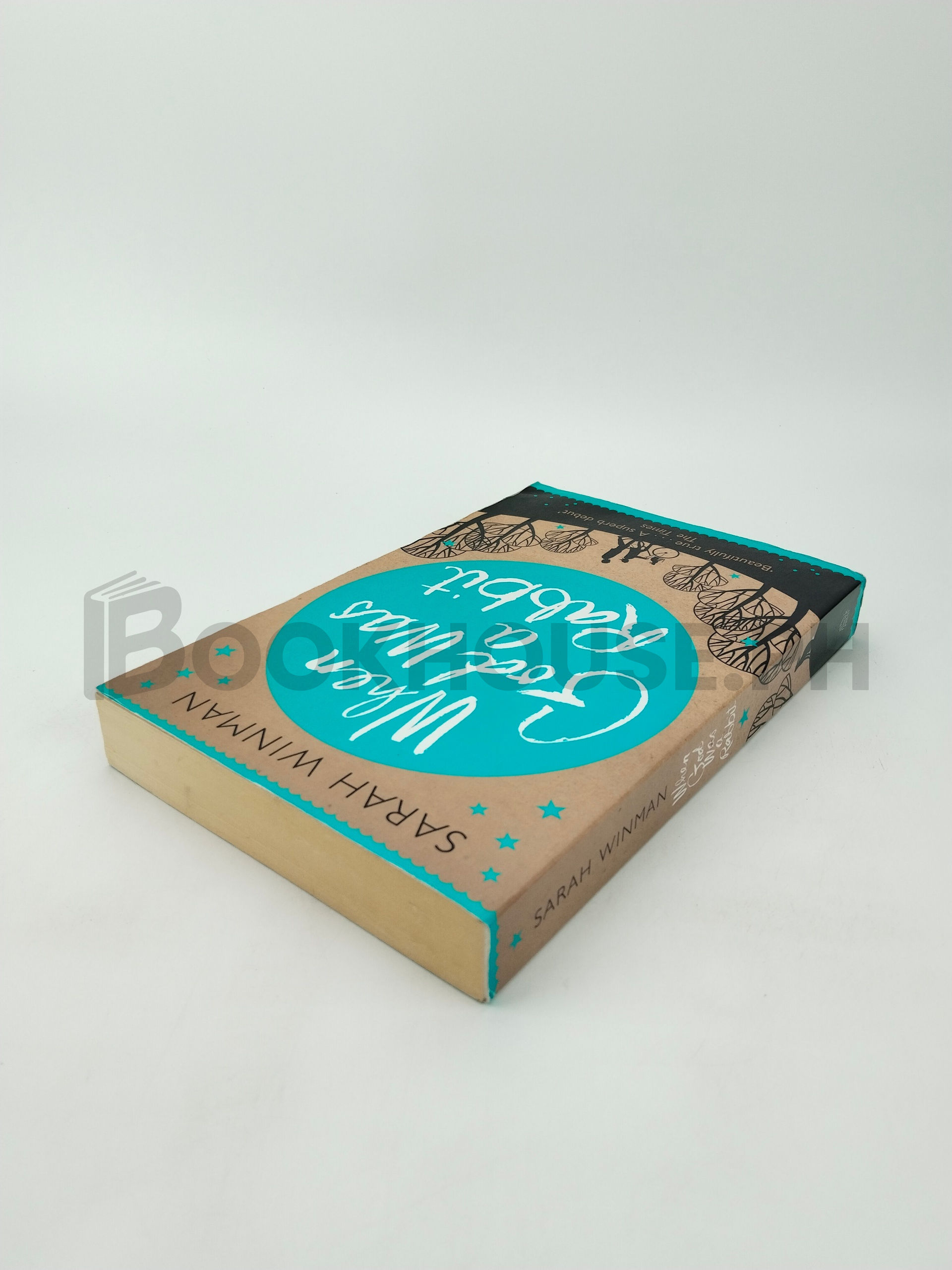 When God Was A Rabbit by Sarah Winman - Image 2