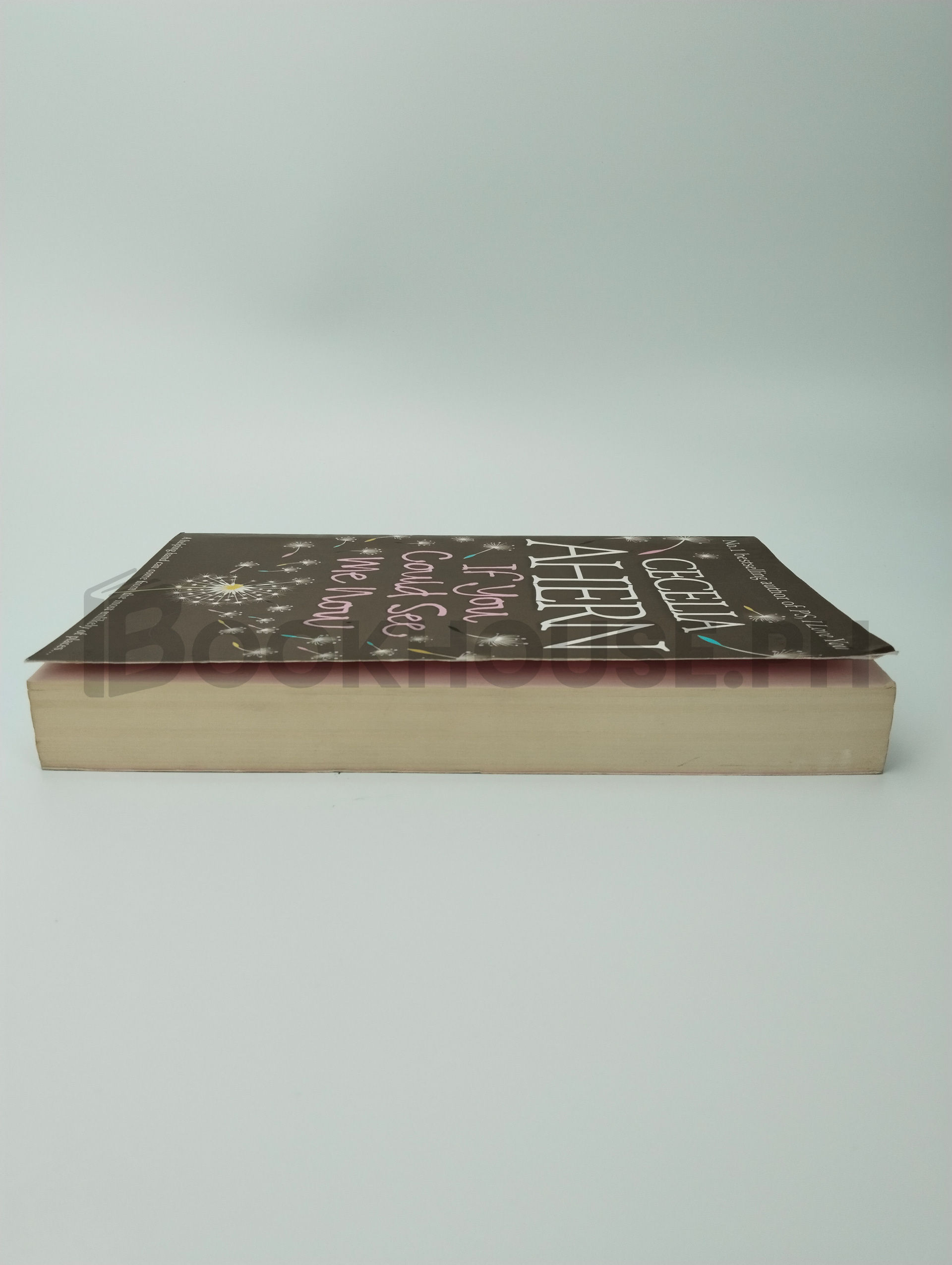 If You Could See Me Now by Cecelia Ahern - Image 4