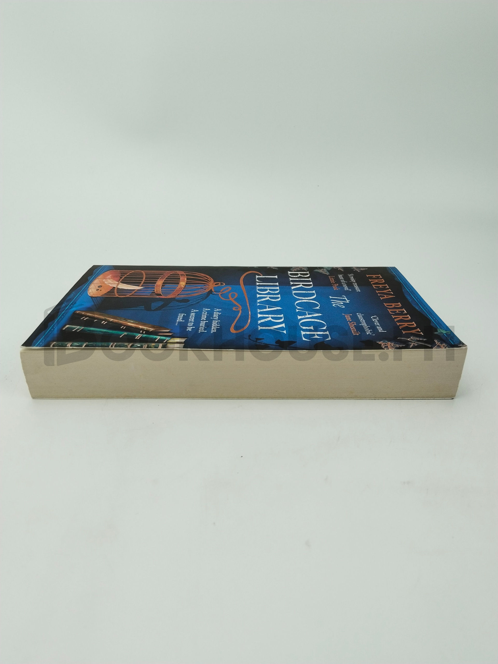 The Birdcage Library by Freya Berry - Image 4