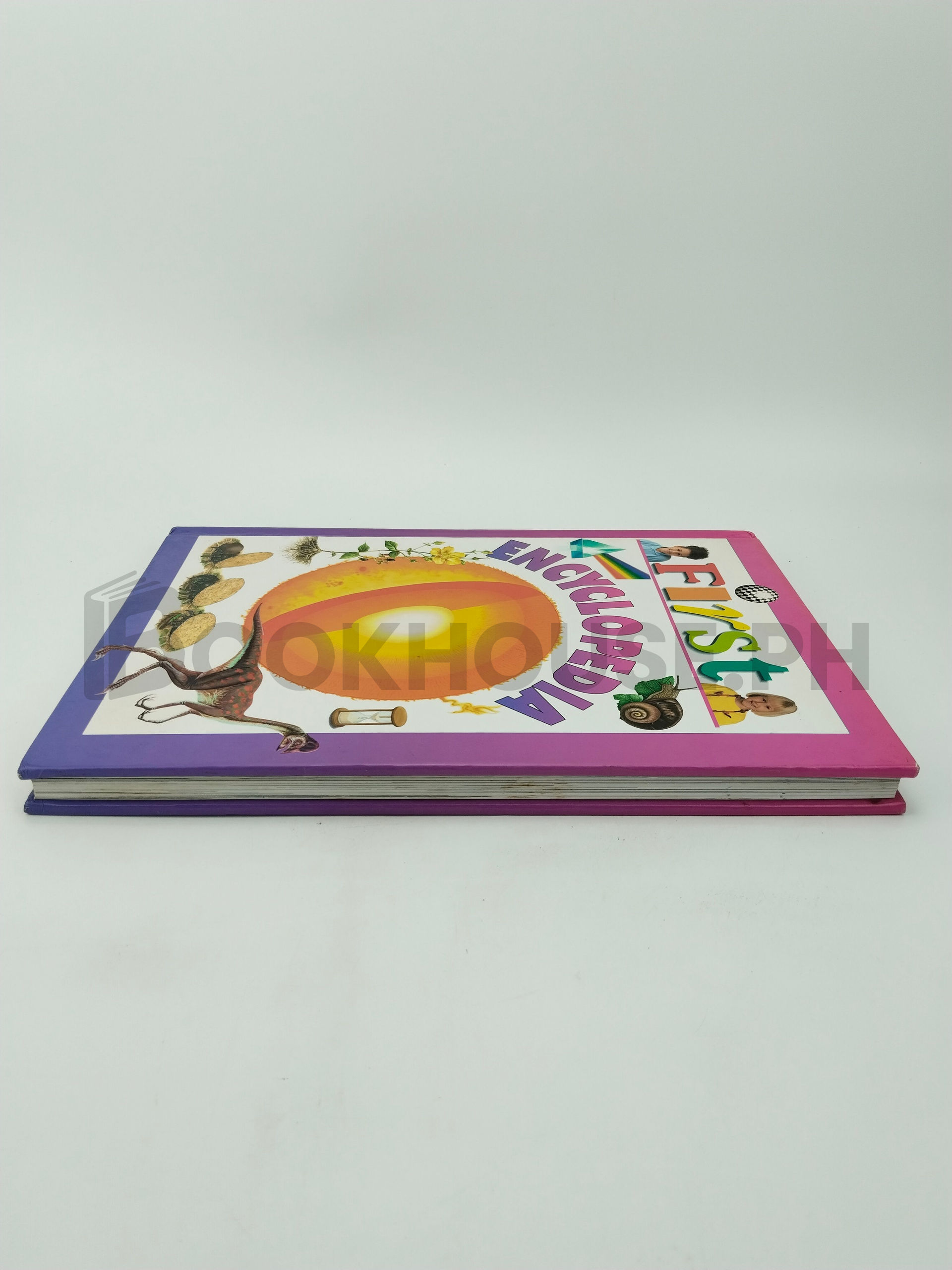 First Encyclopedia by Neil Morris - Image 4