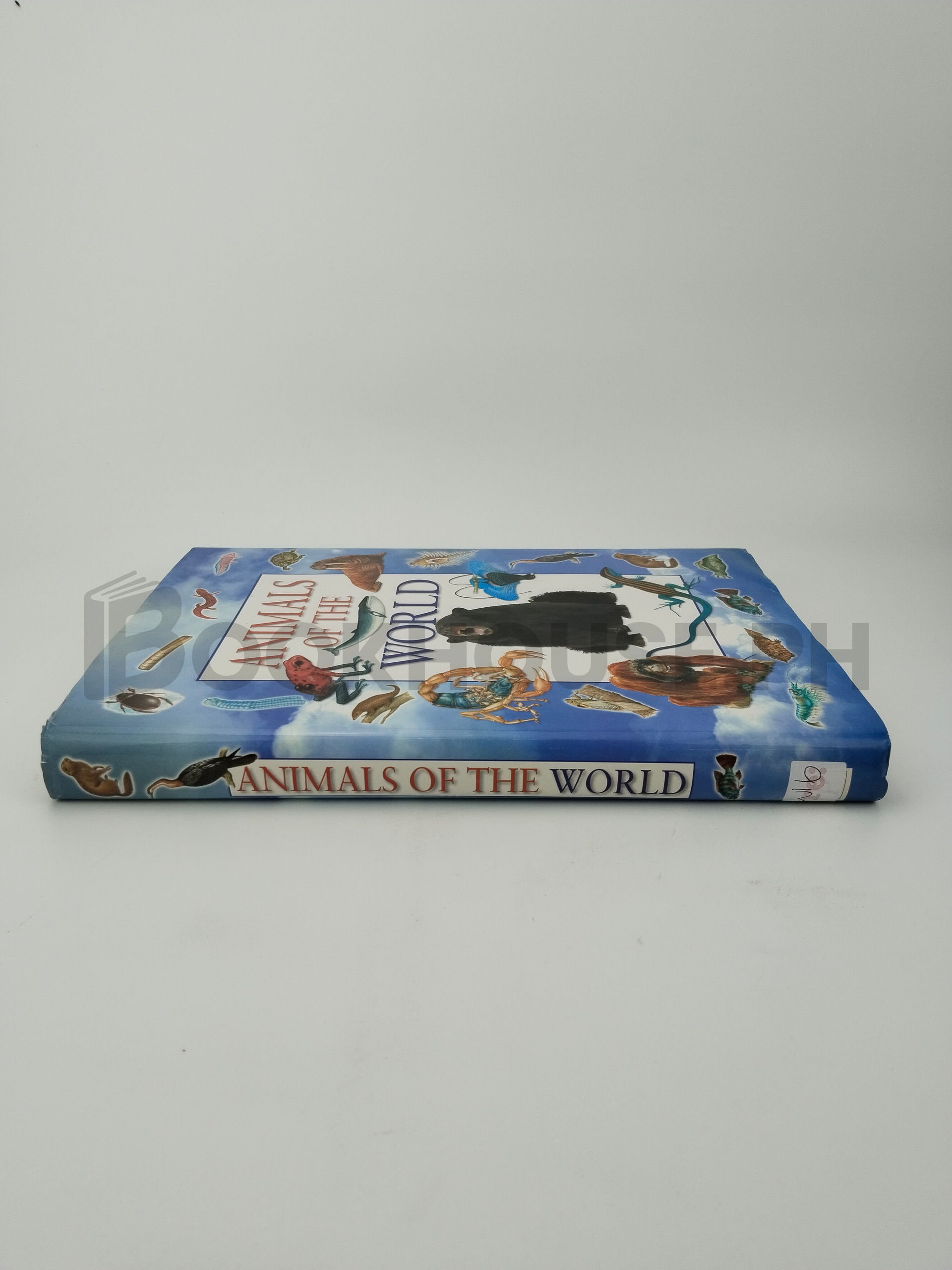 Animals Of The World by Martin Walters, Jinny Johnson - Image 3