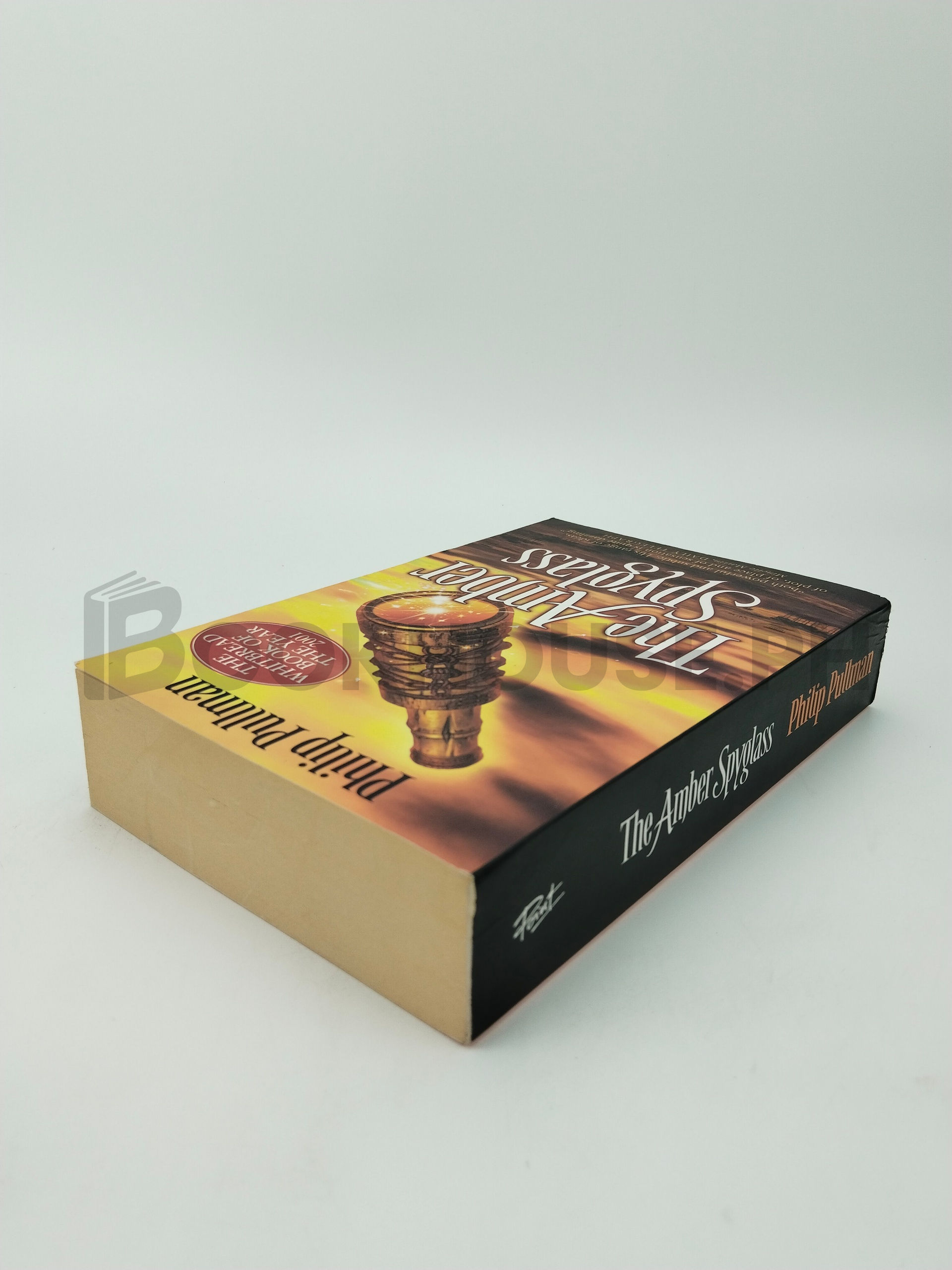 The Amber Spyglass by Philip Pullman - Image 2