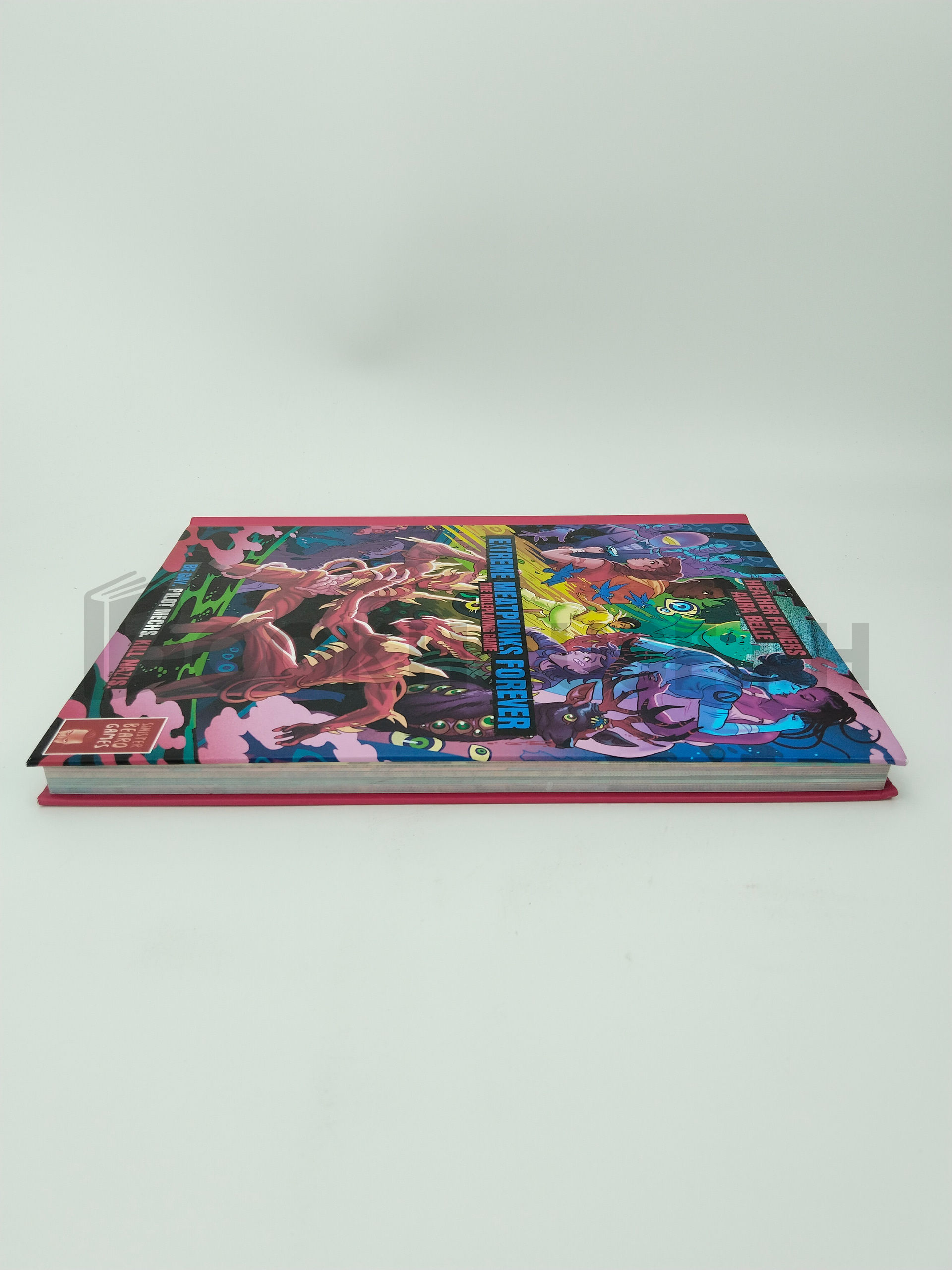 Extreme Meat Punks Forever The Role Playing Game by Heather Flowers And Aura Belle - Image 4