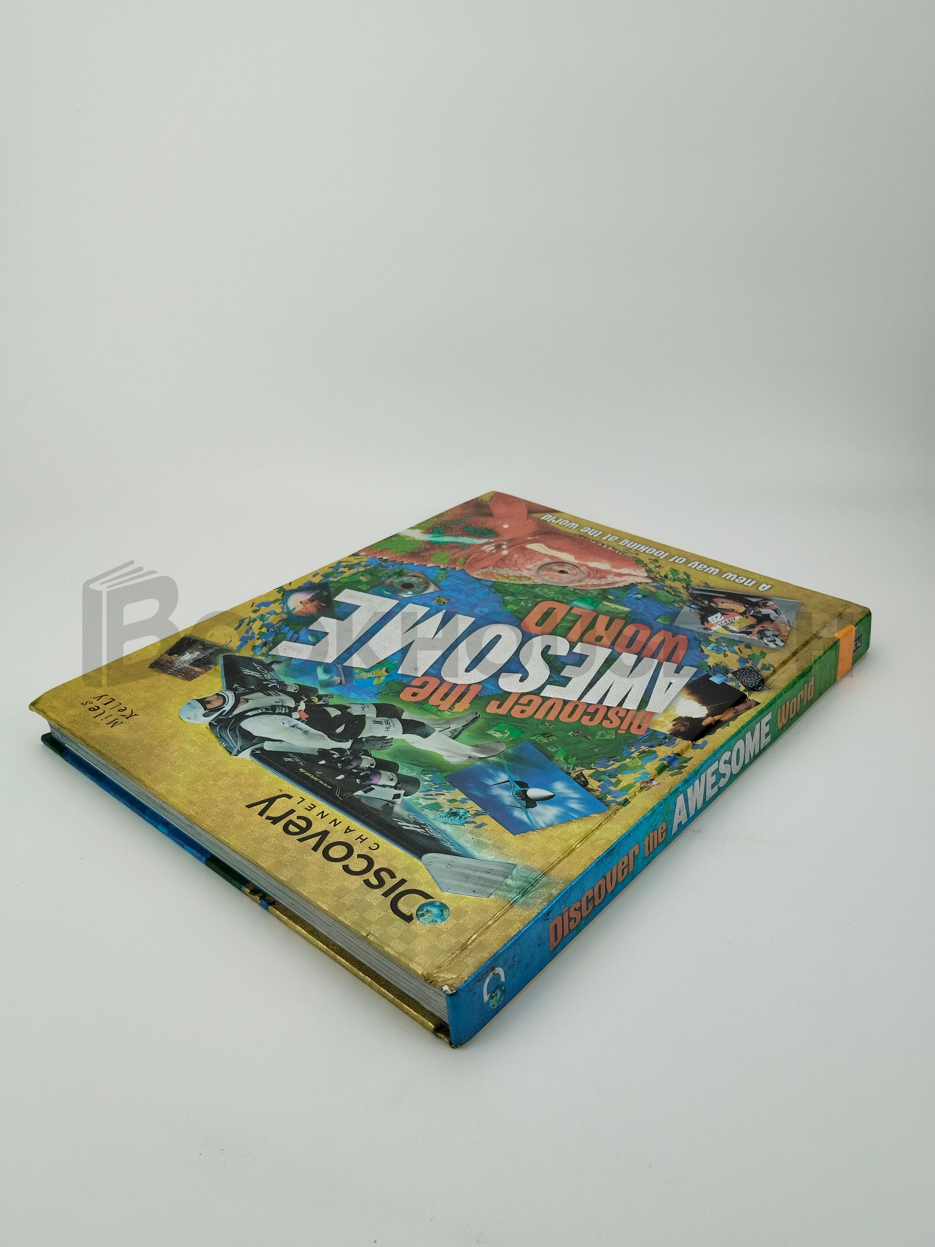 Discover The Awesome World by Camilla De La Bédoyère, Amanda Askew - Image 2