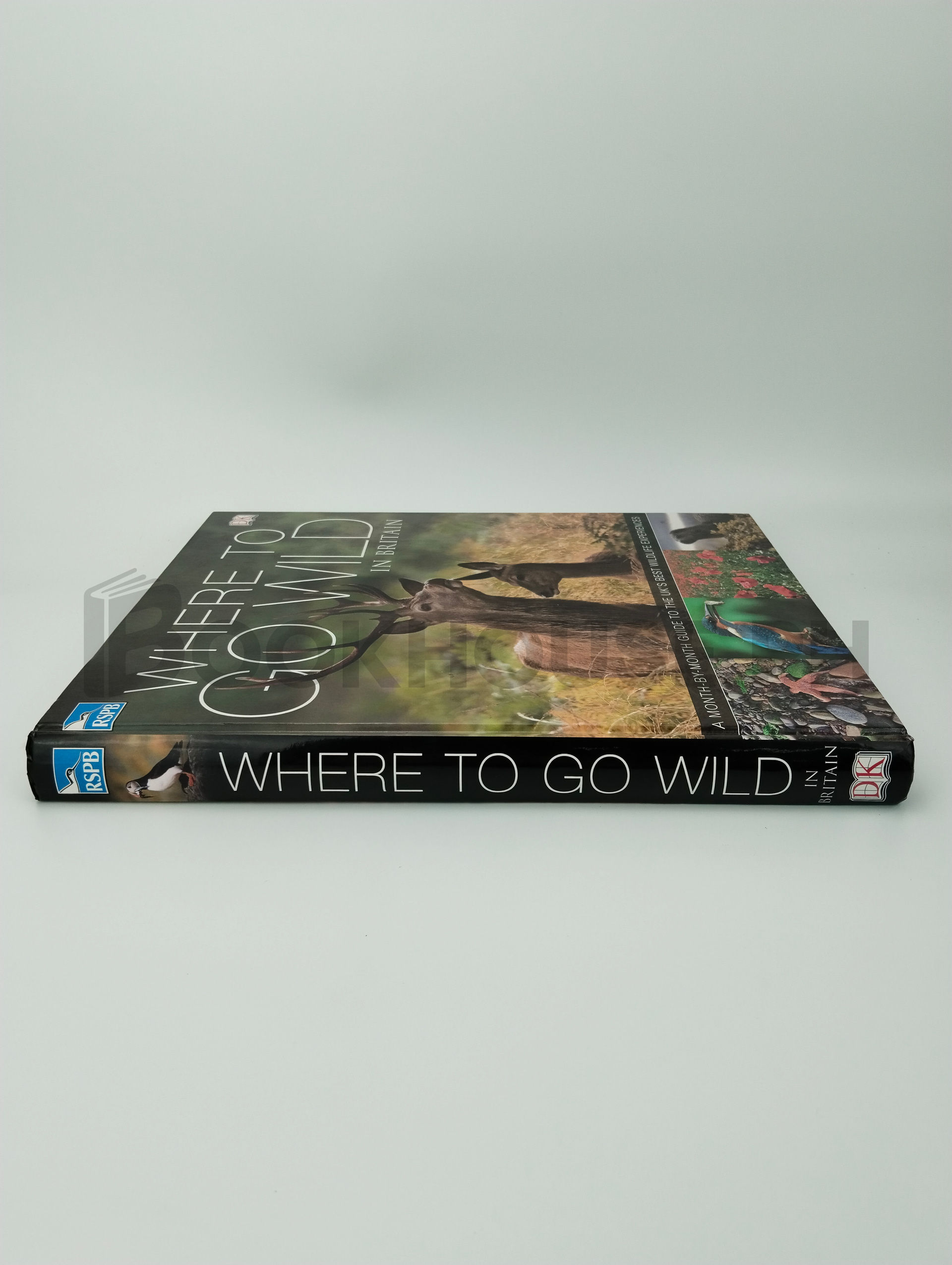 Where To Go Wild In Britain by Dk - Image 3