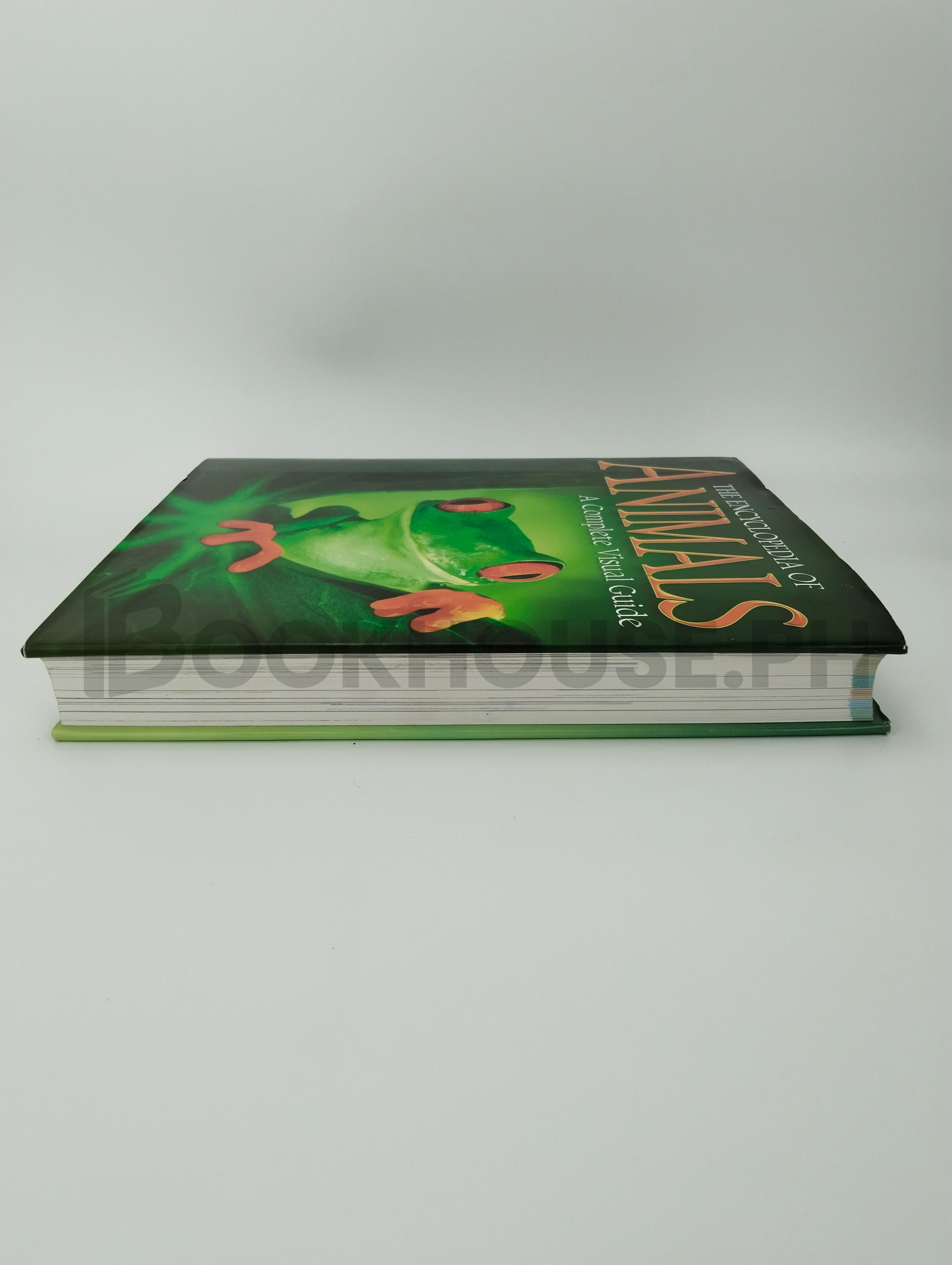 The Encyclopedia Of Animals by Weldon Owen - Image 4