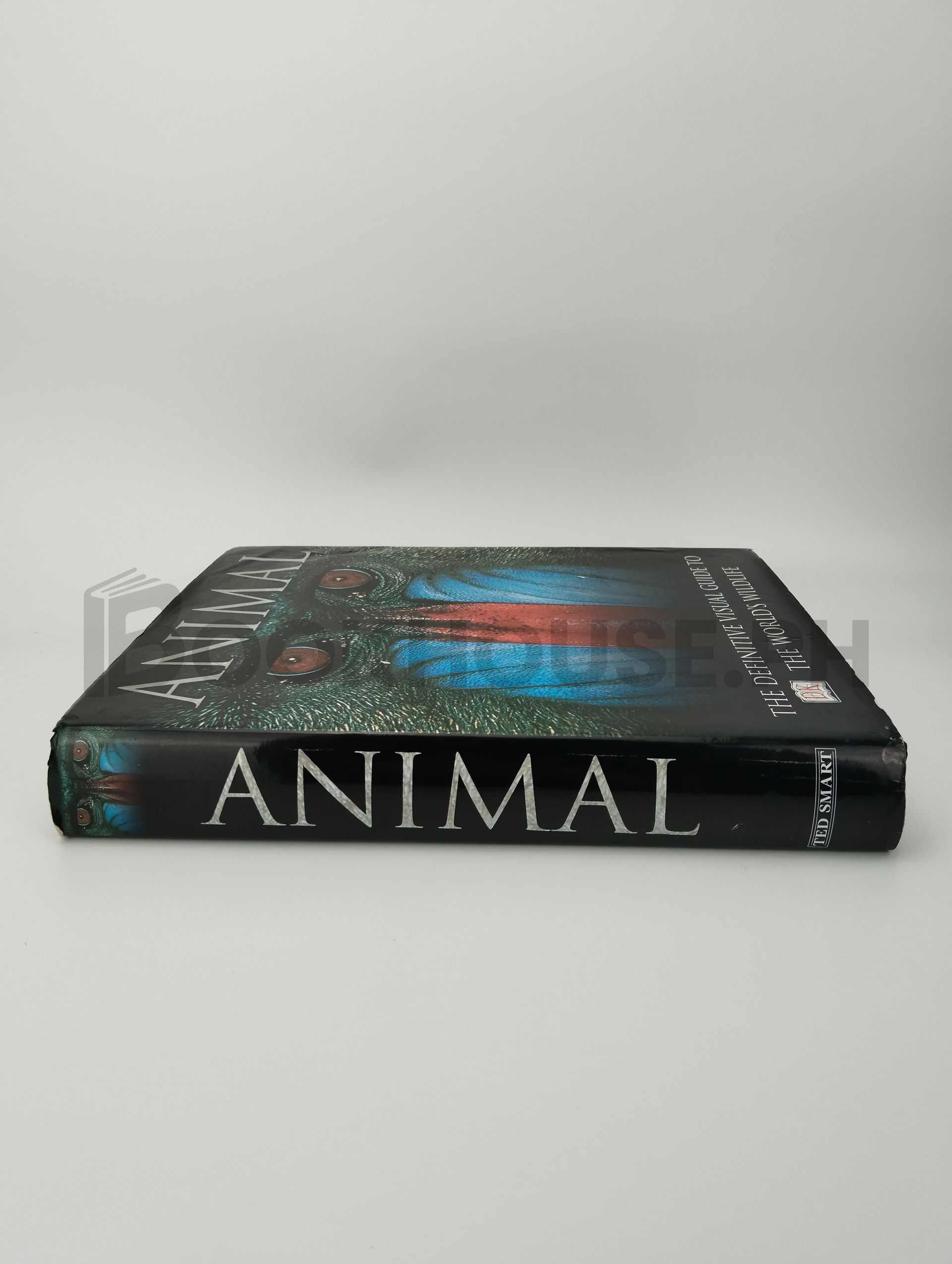 Animal by David Burnie - Image 3