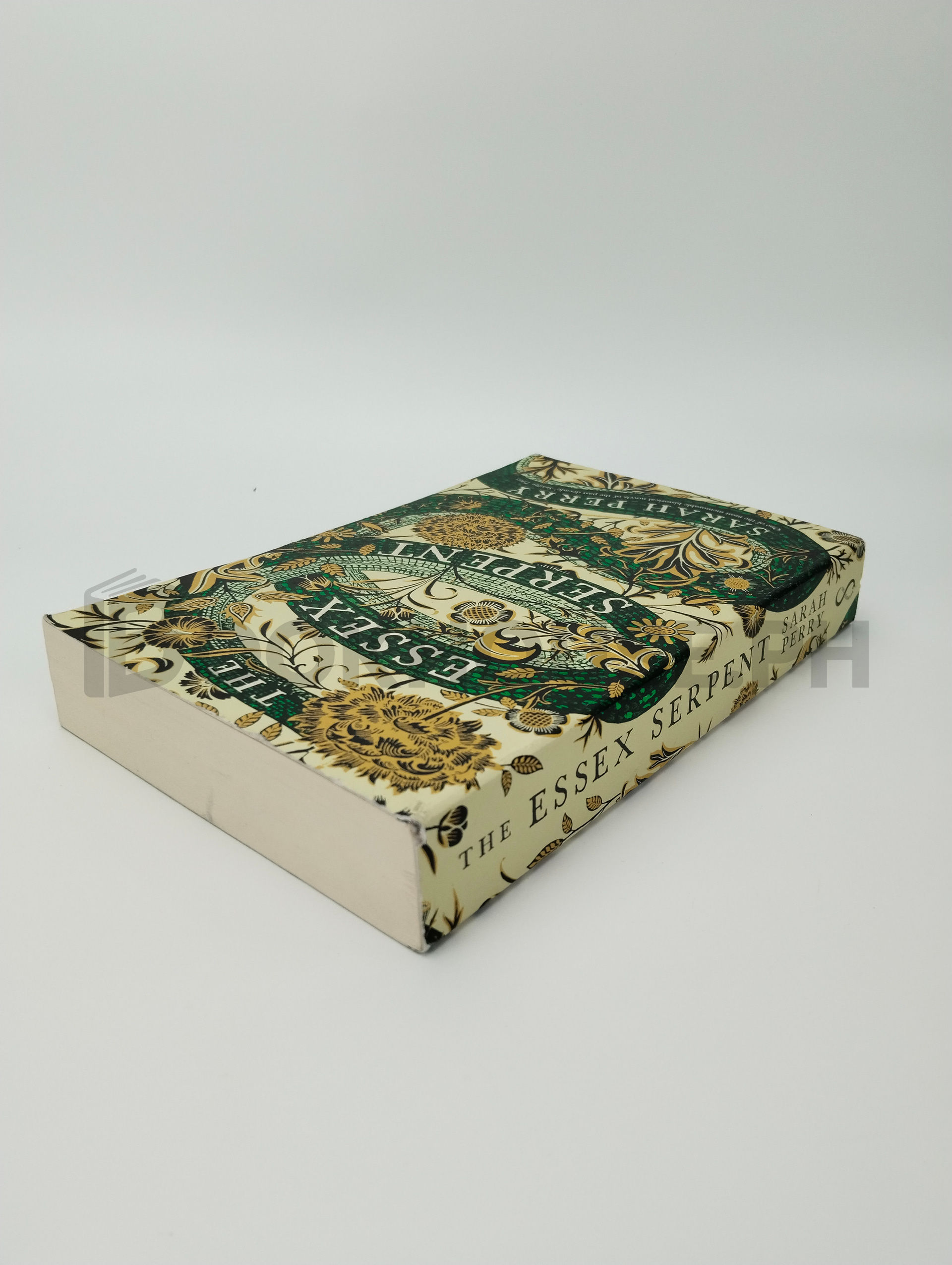 The Essex Serpent by Sarah Perry - Image 2