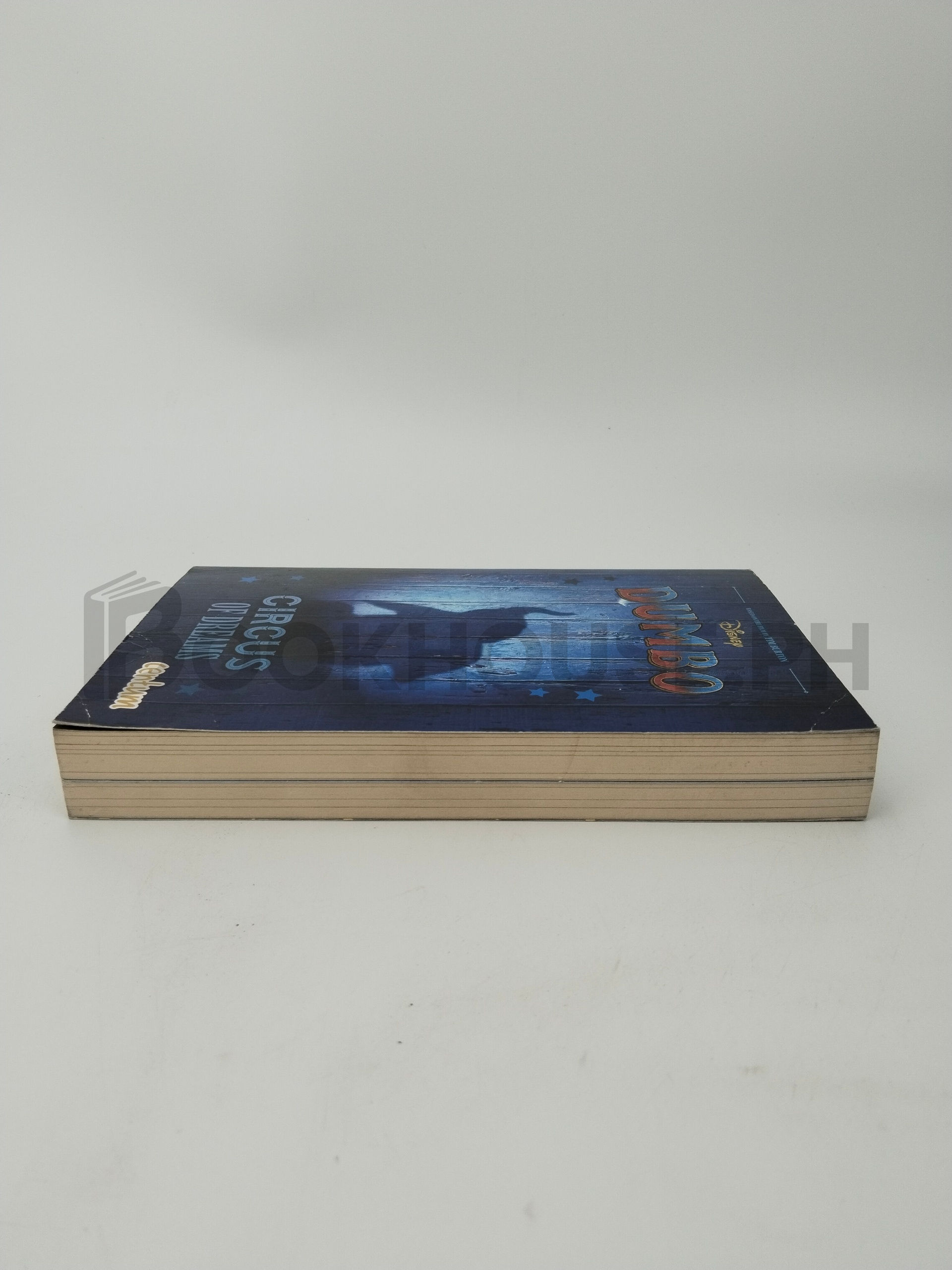 Dumbo by Kari H. Sutherland, Ehren Kruger, Tim Burton - Image 4