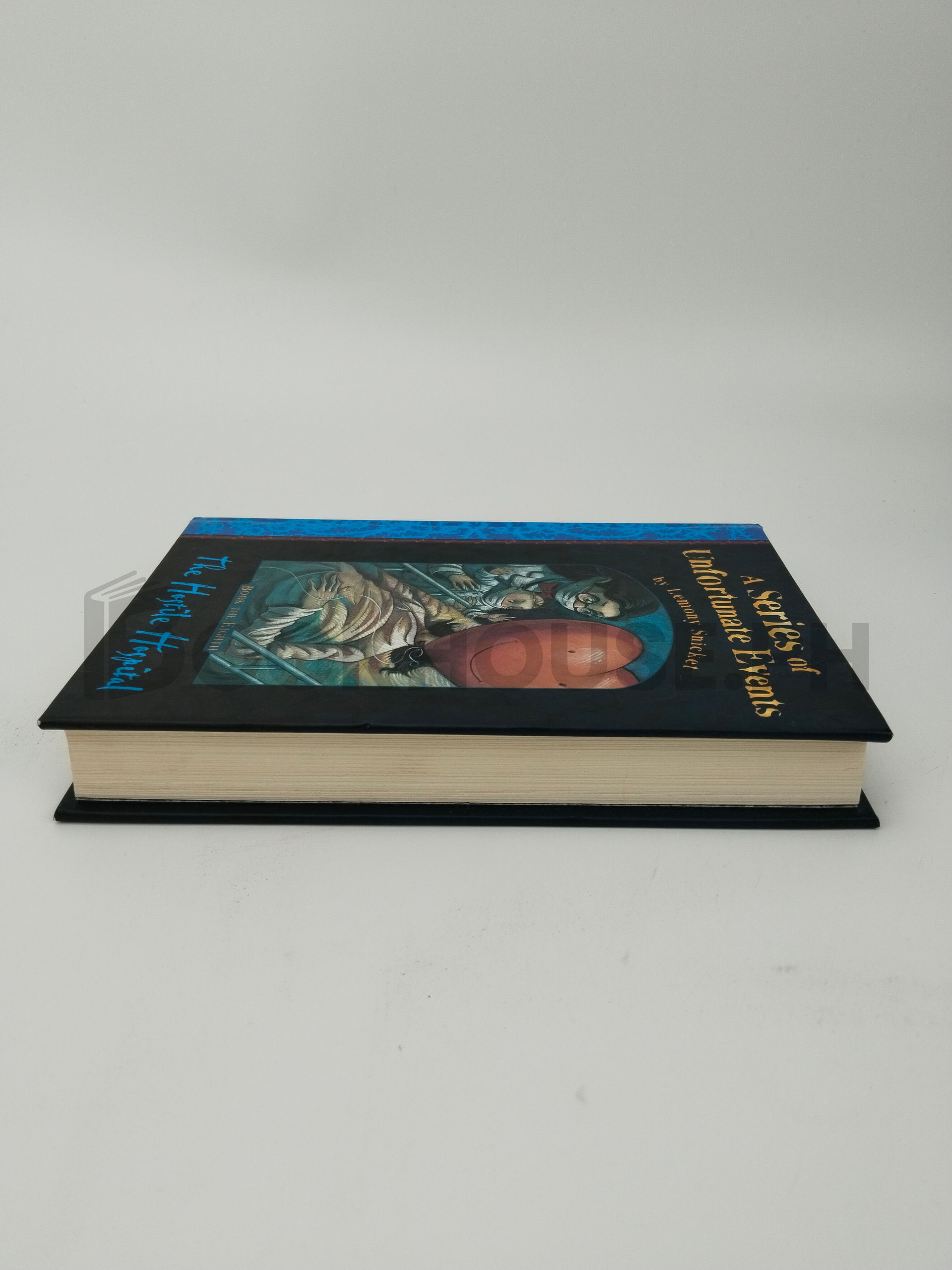 The Hostile Hospital by Lemony Snicket, Brett Helquist - Image 4
