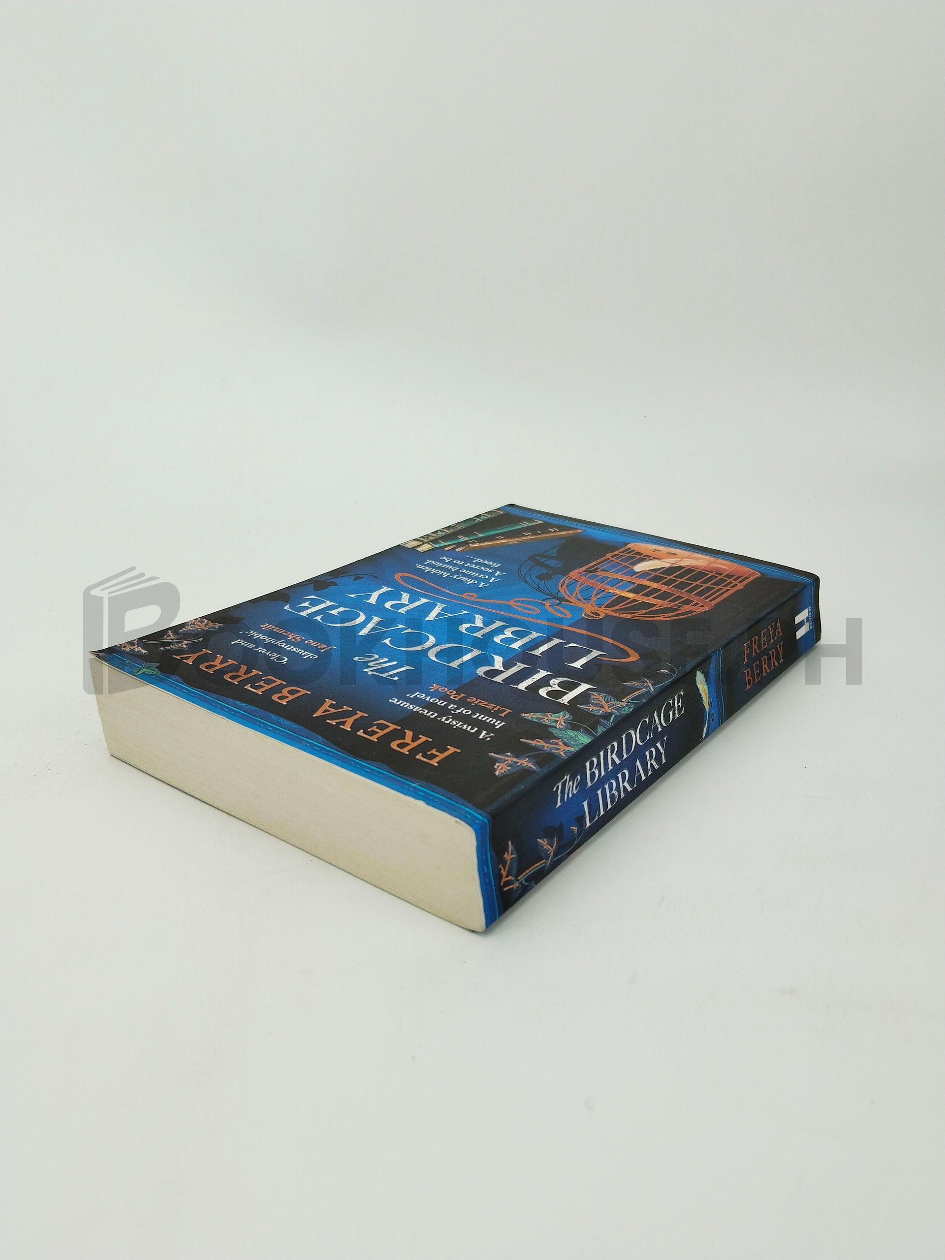 The Birdcage Library by Freya Berry - Image 2