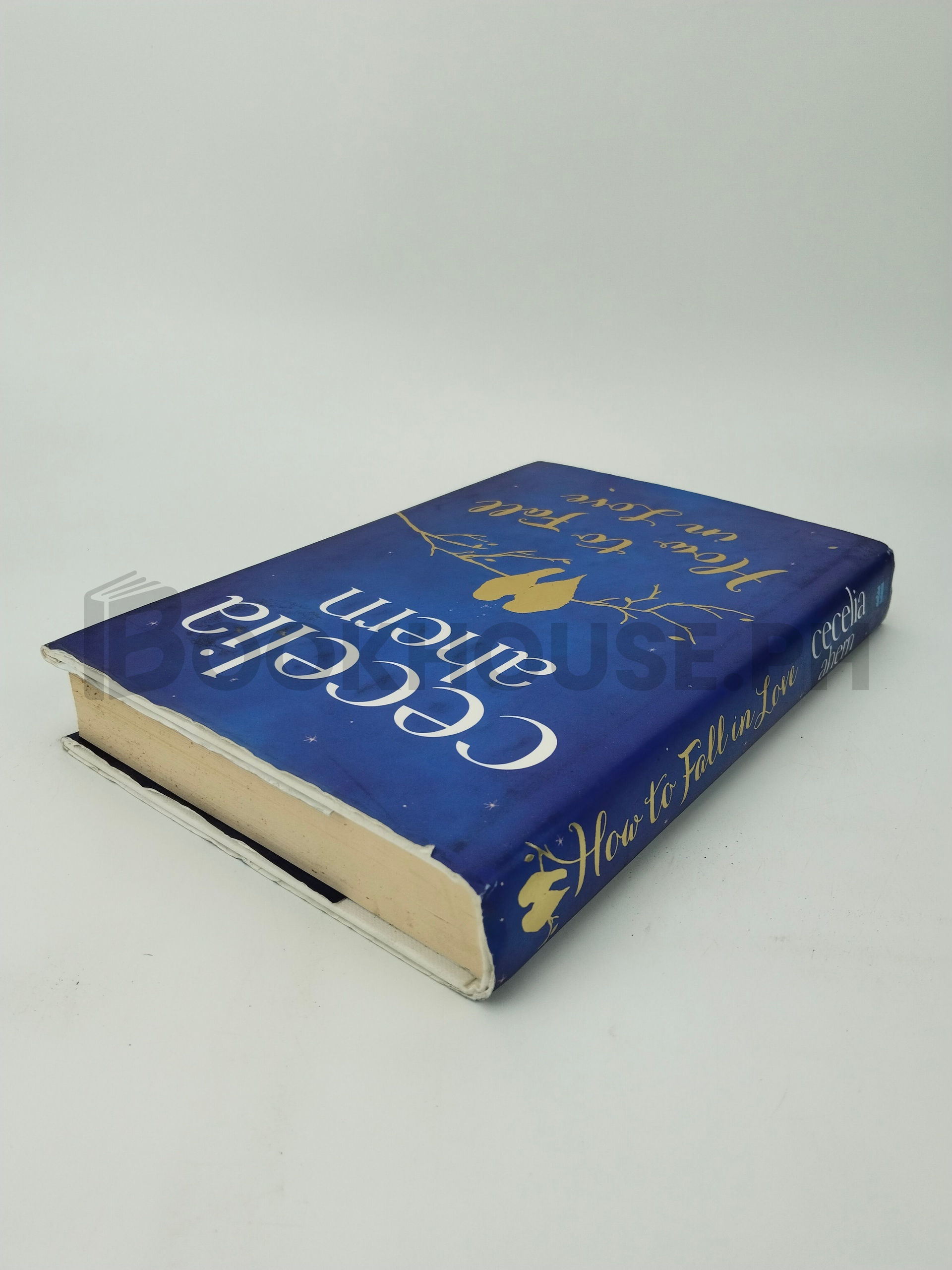 How To Fall In Love by Cecelia Ahern - Image 2